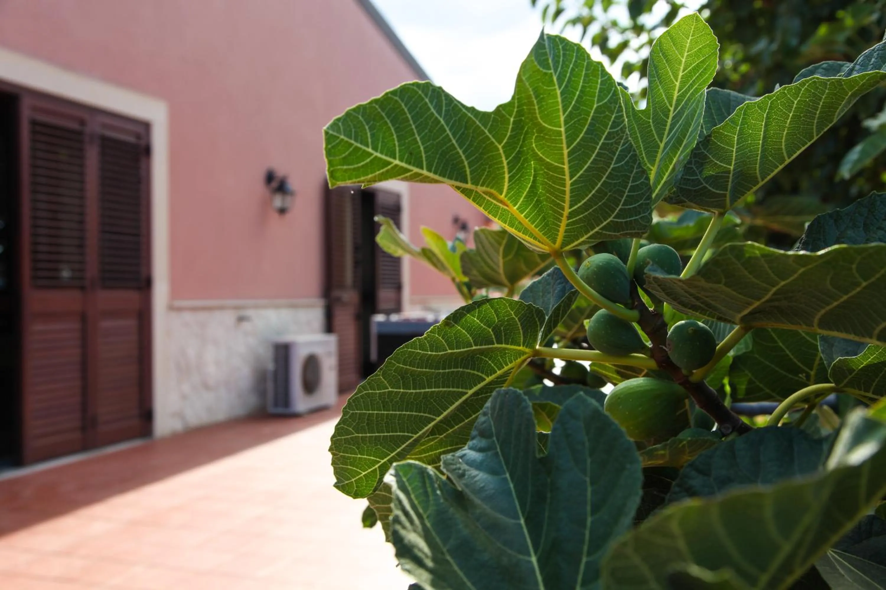 Garden in Sicily Country House & Beach