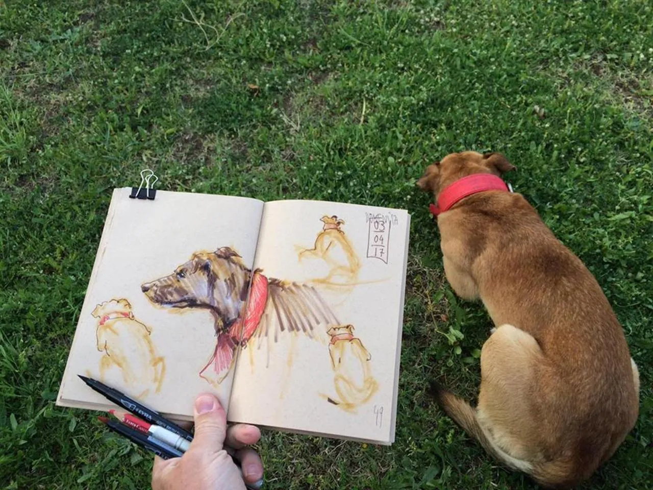 Animals in Sicily Country House & Beach