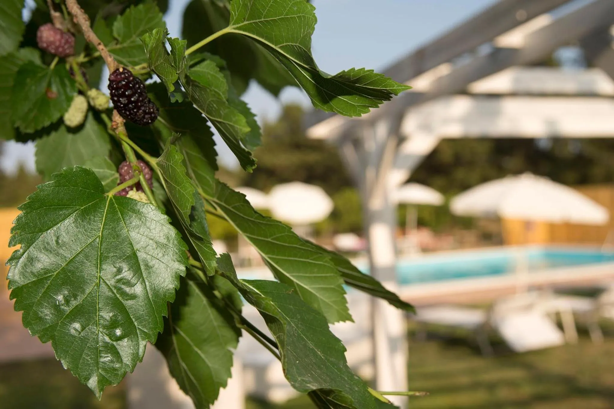 Decorative detail in Sicily Country House & Beach