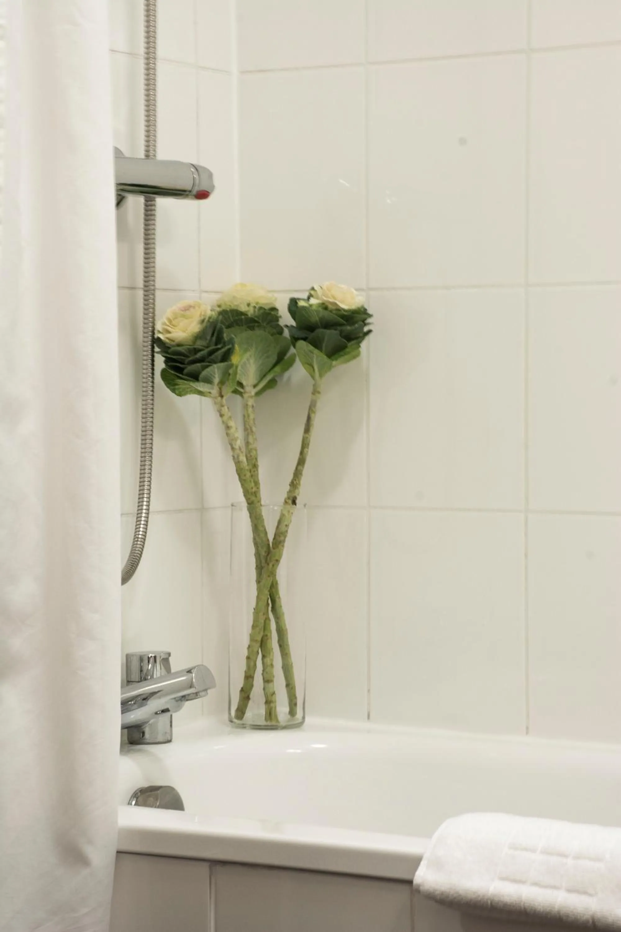 Toilet in Amherst Brighton