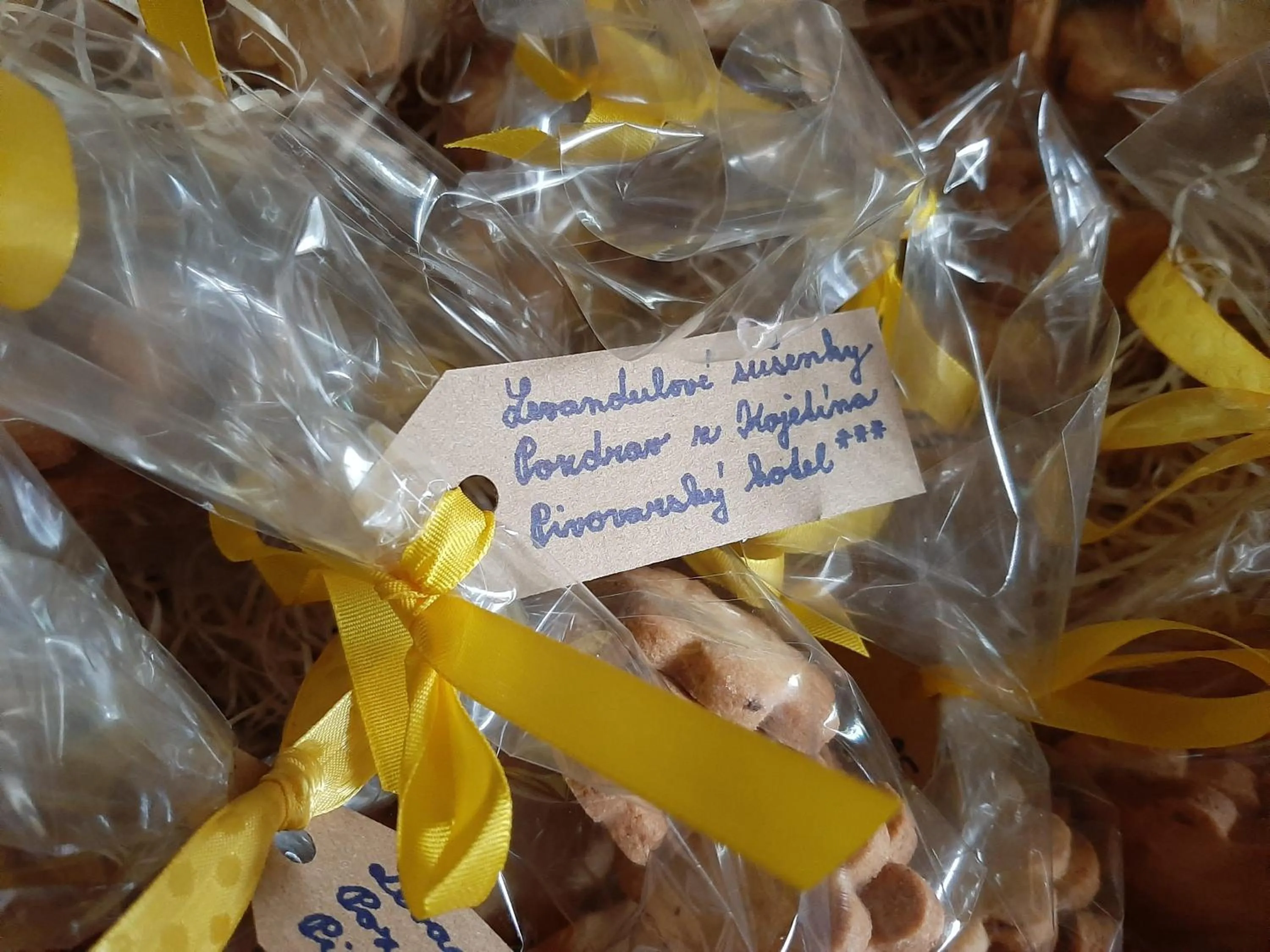 Pivovarsky Hotel Kojetín u Kroměříže