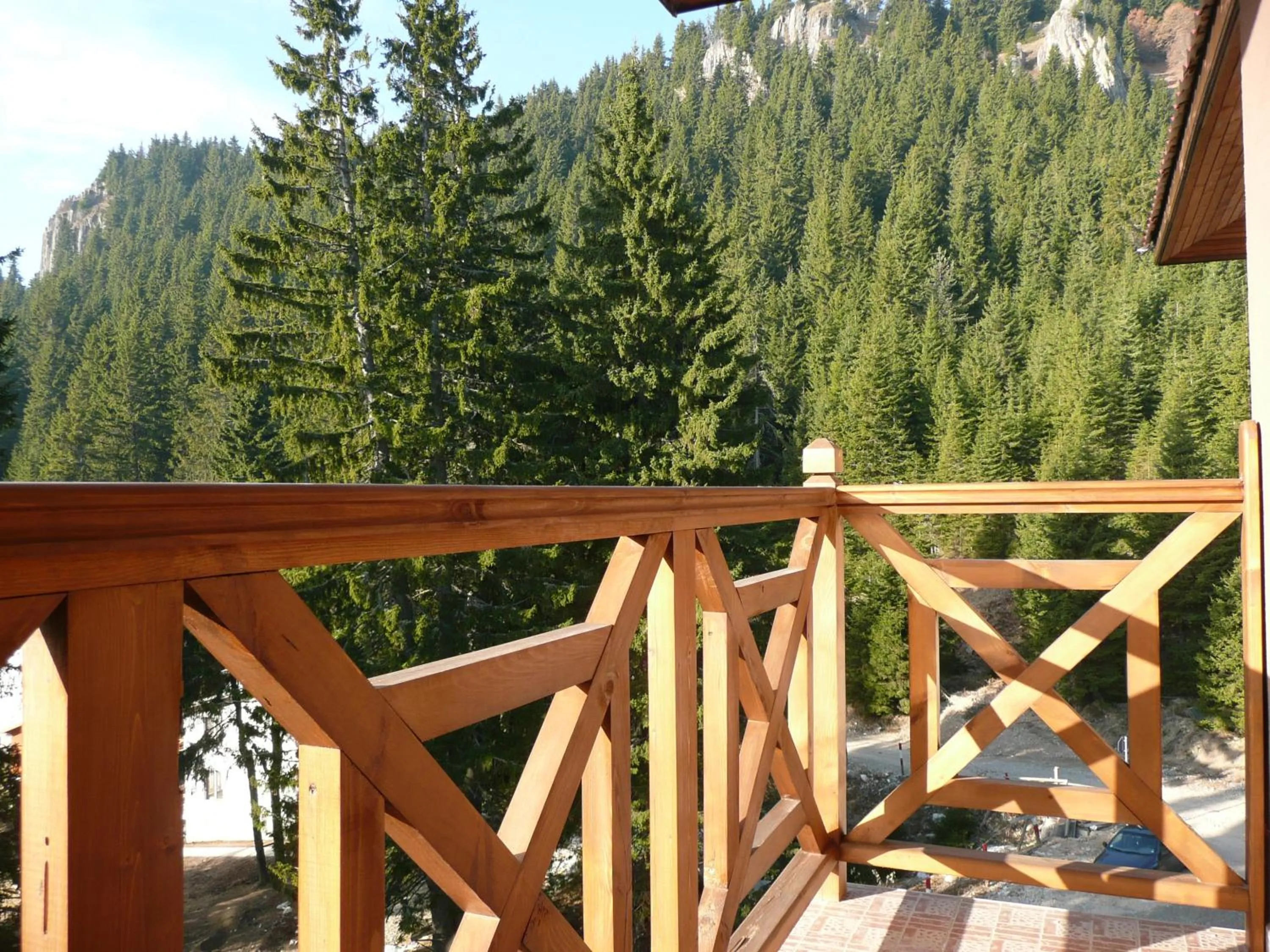 Balcony/Terrace in Aparthotel Pine Hills Pamporovo