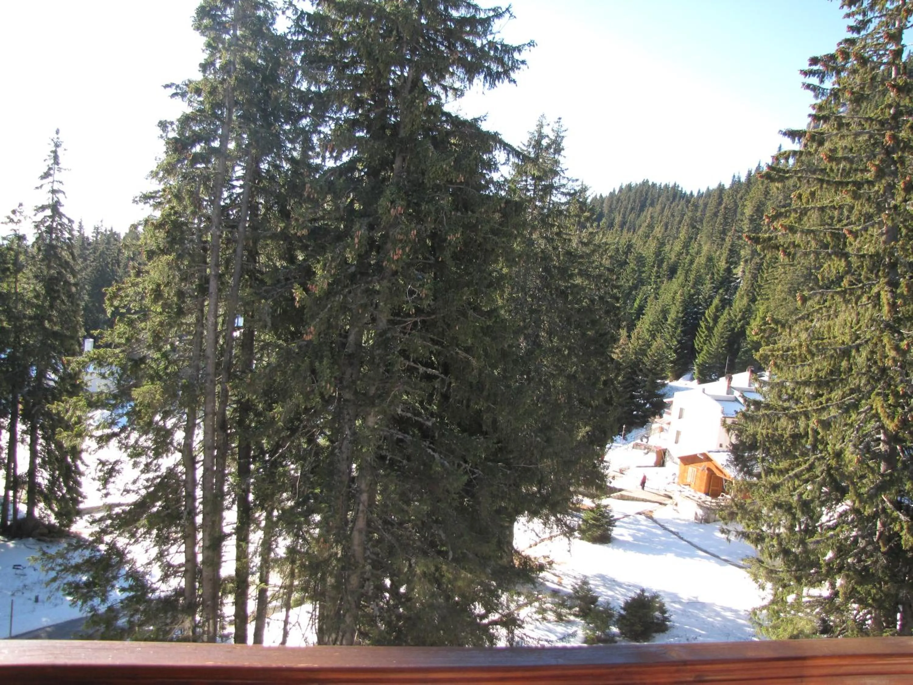 Day in Aparthotel Pine Hills Pamporovo