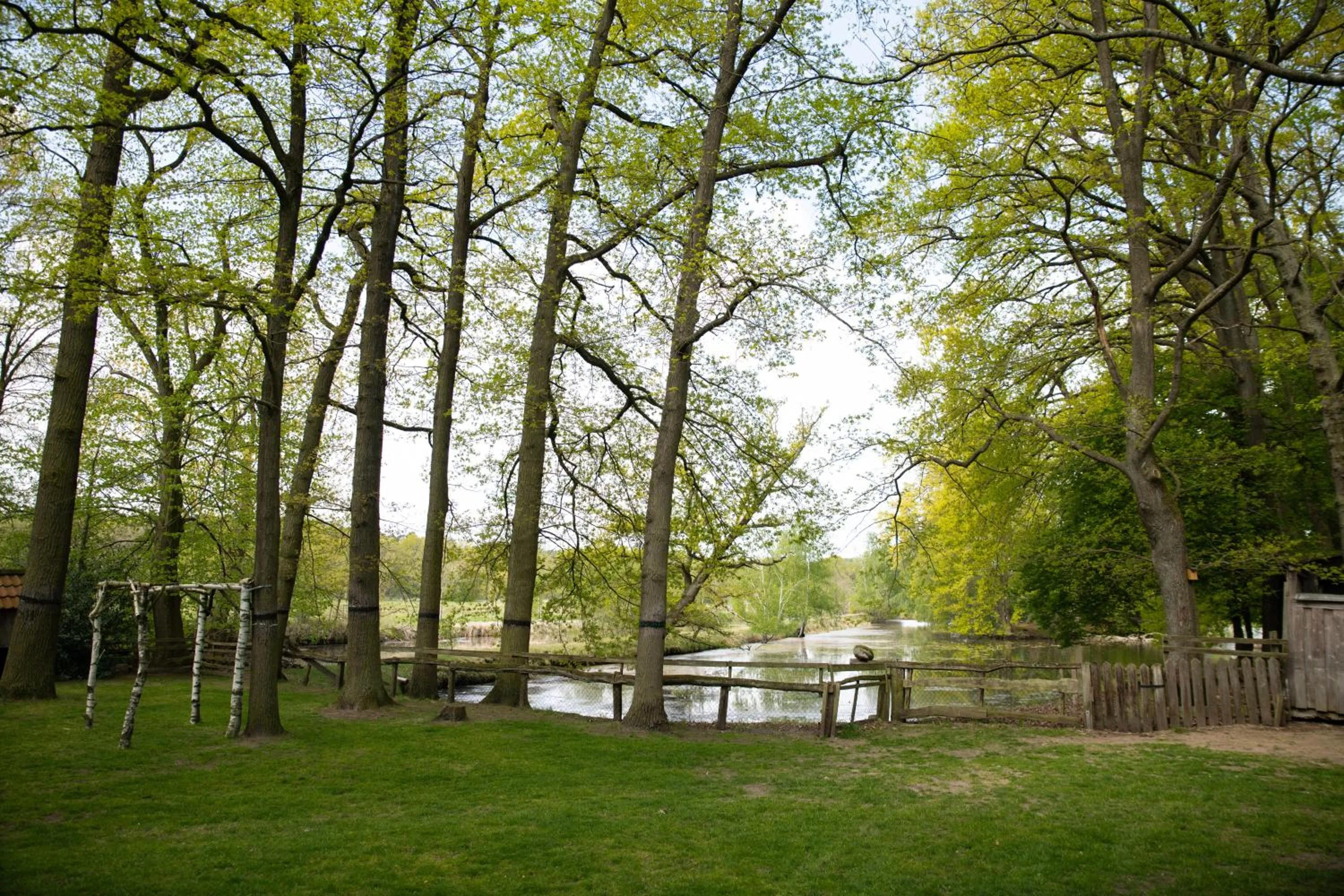 Garden in Hotel Restaurant Große Teichsmühle