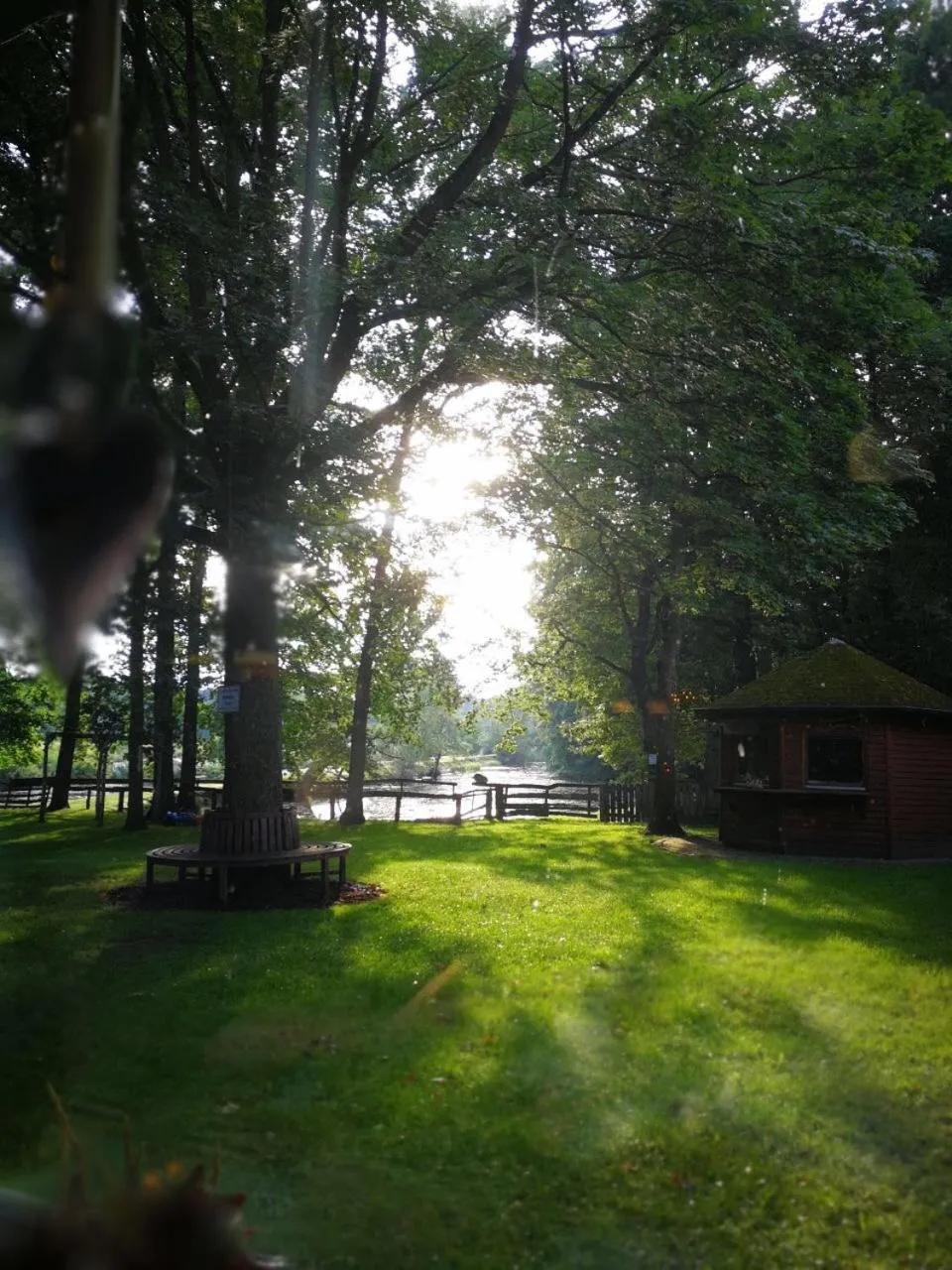 Garden in Hotel Restaurant Große Teichsmühle