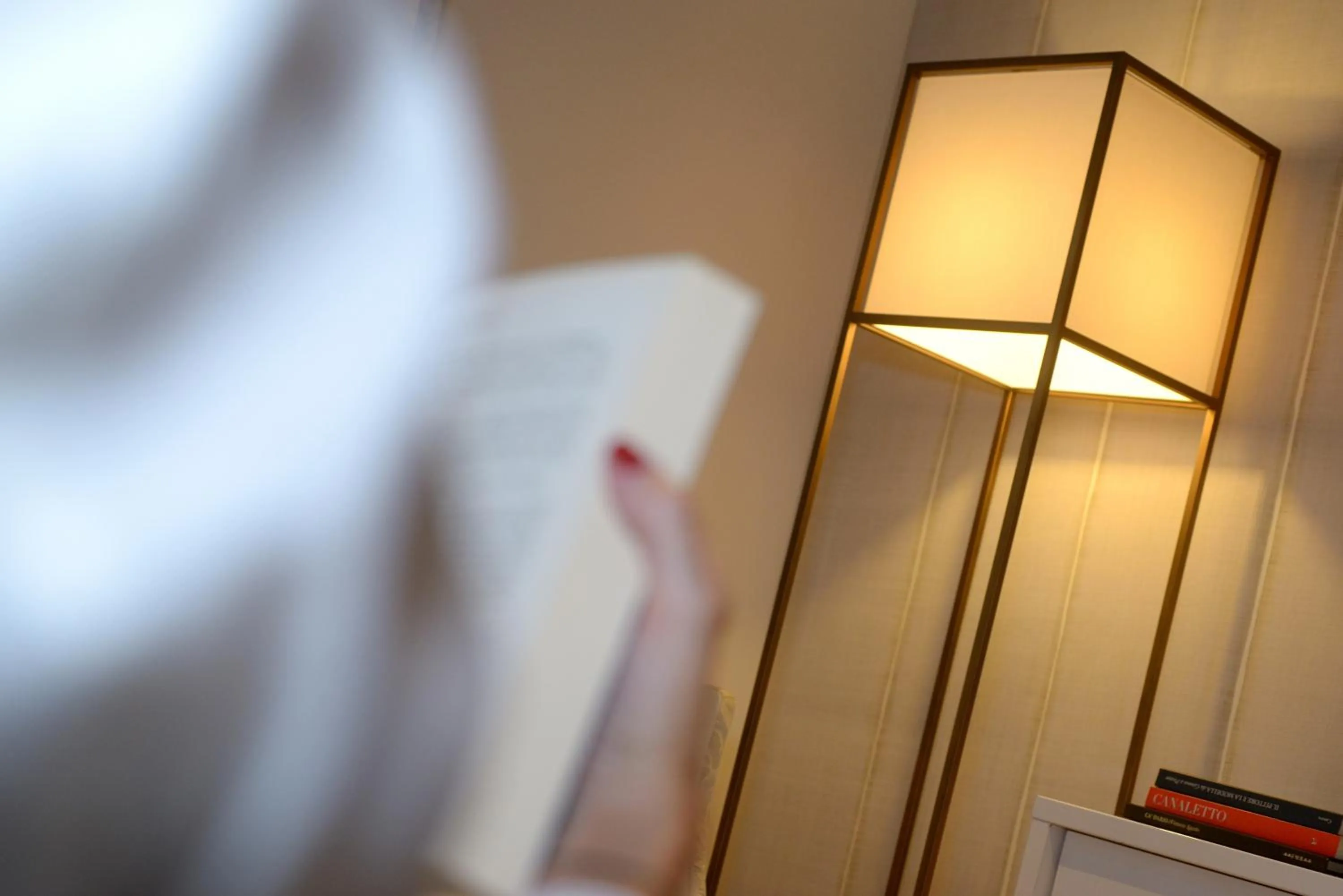 Living room in Residence La Fenice