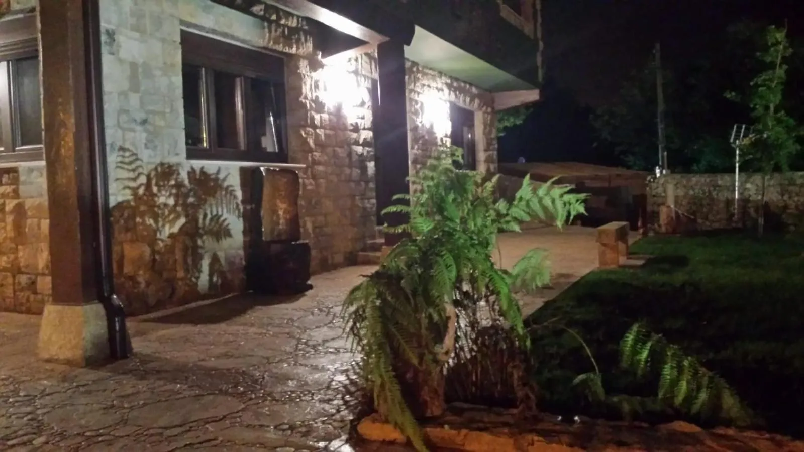 Las Cavernas Del Bisonte