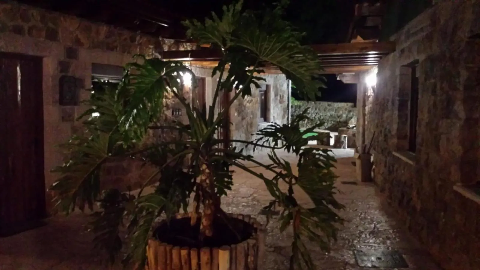 Las Cavernas Del Bisonte