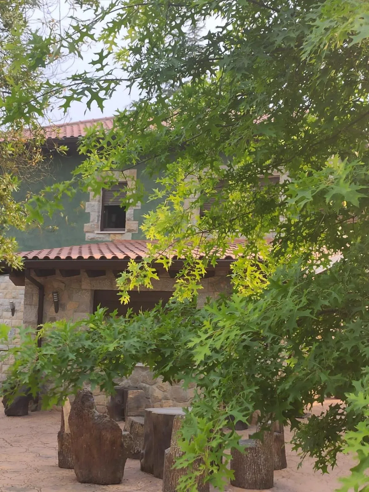 Las Cavernas Del Bisonte