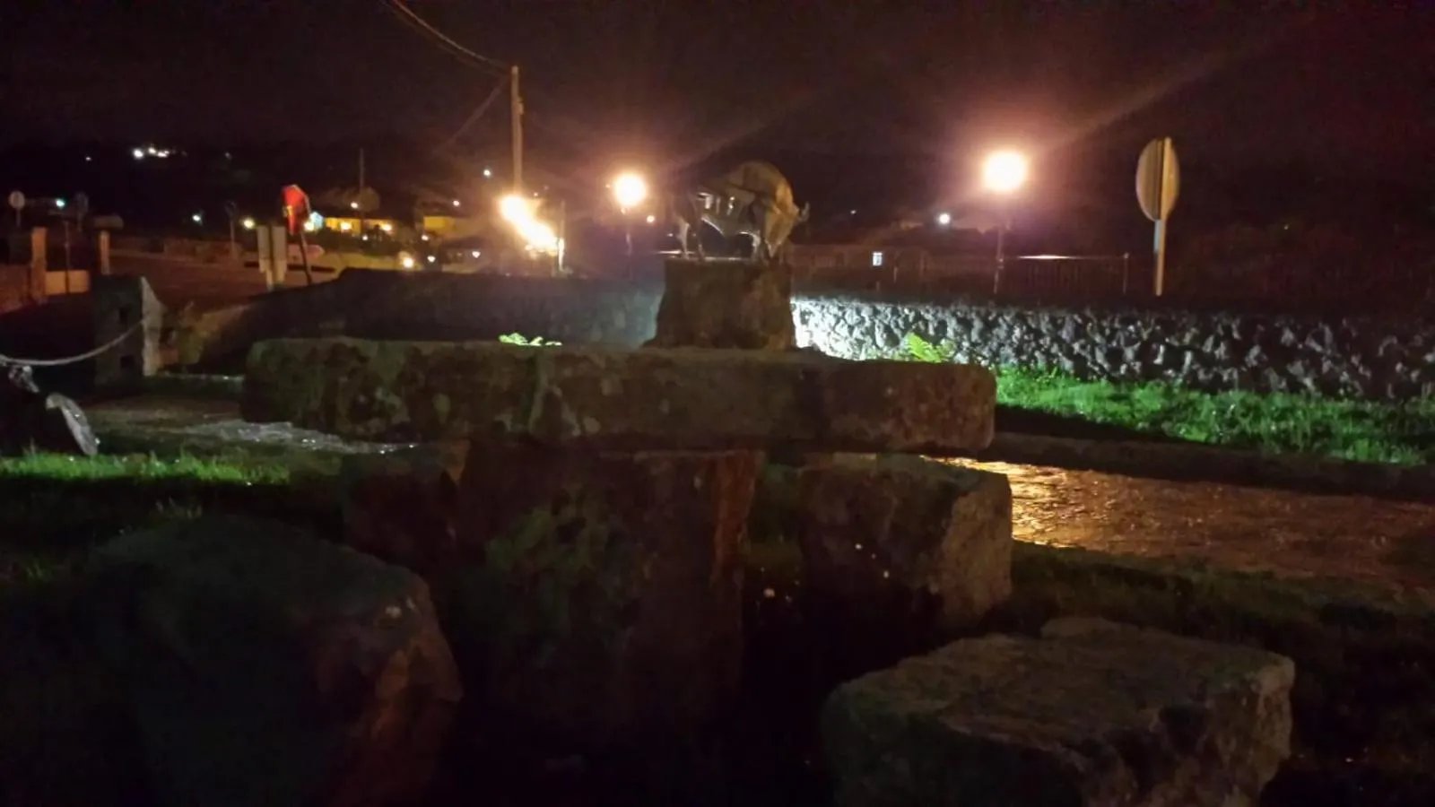 Las Cavernas Del Bisonte