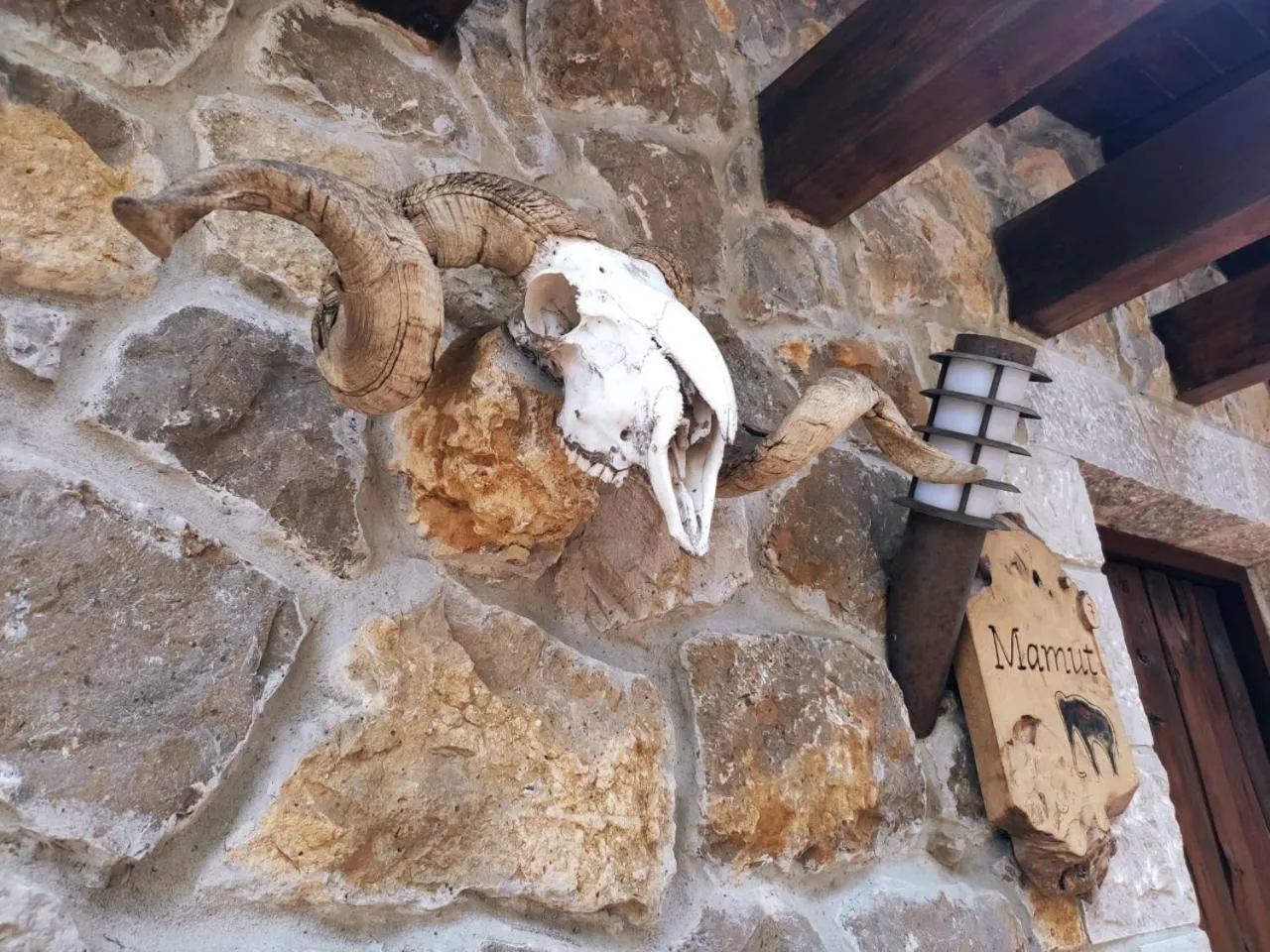 Las Cavernas Del Bisonte