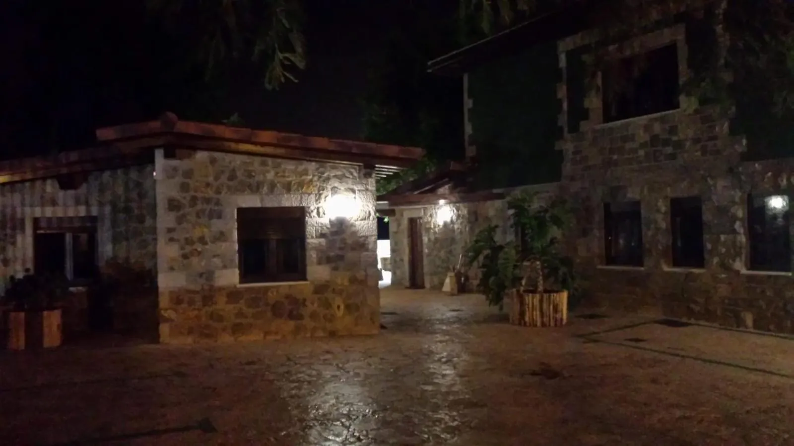 Las Cavernas Del Bisonte