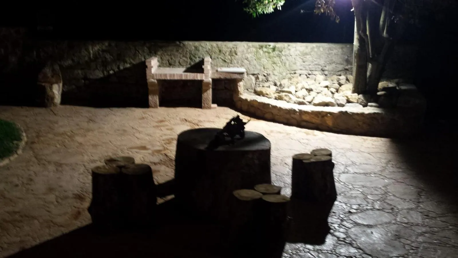 Las Cavernas Del Bisonte