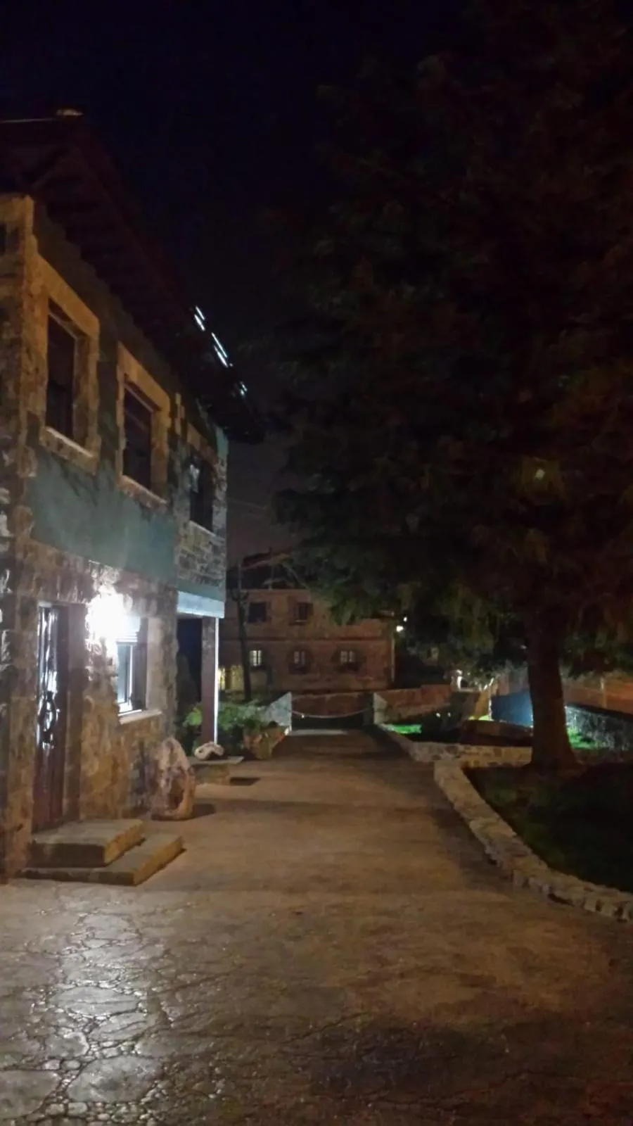 Las Cavernas Del Bisonte