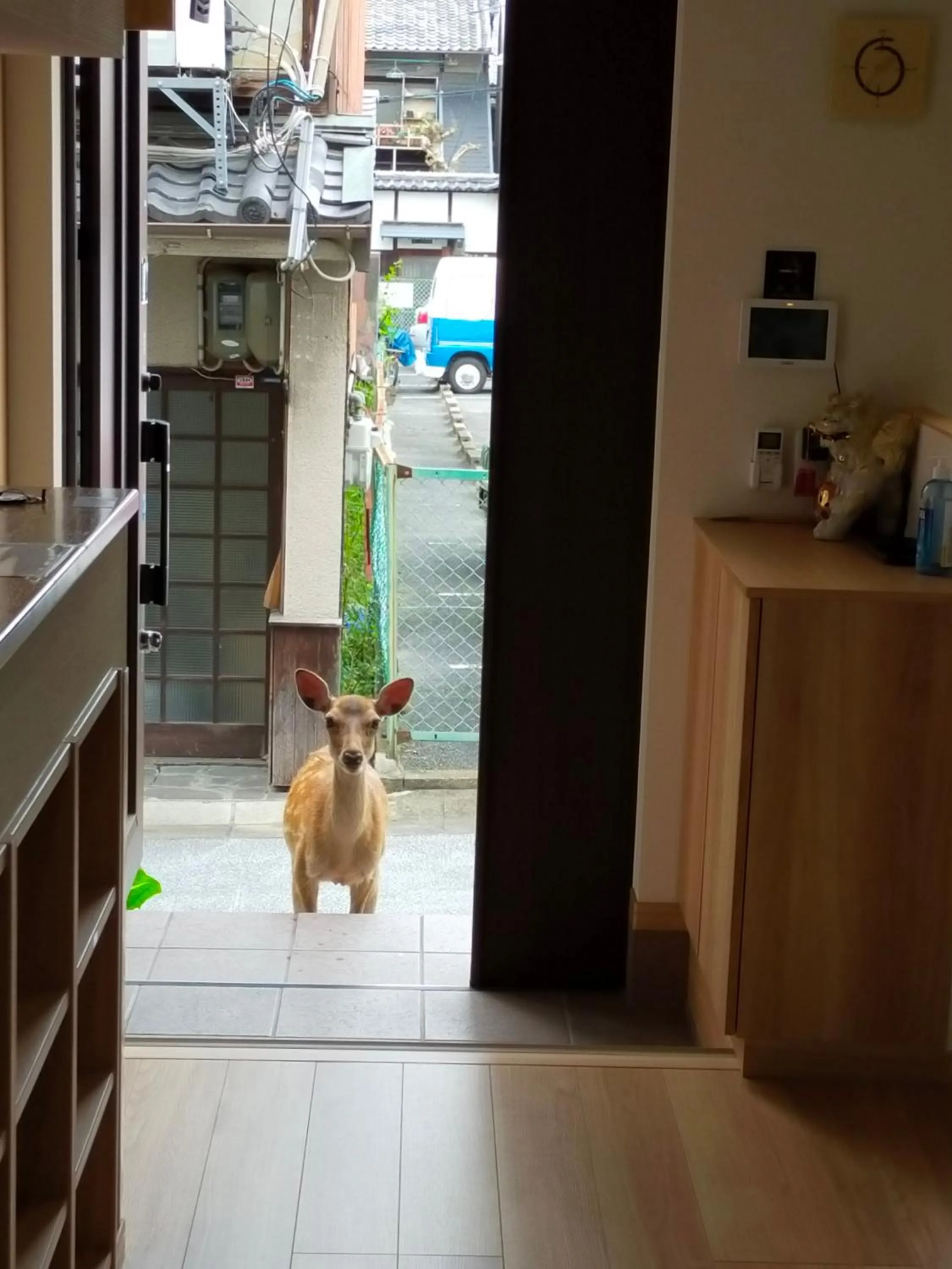 Mini inn Nara - Naramachi historic district - 外国人予約限定