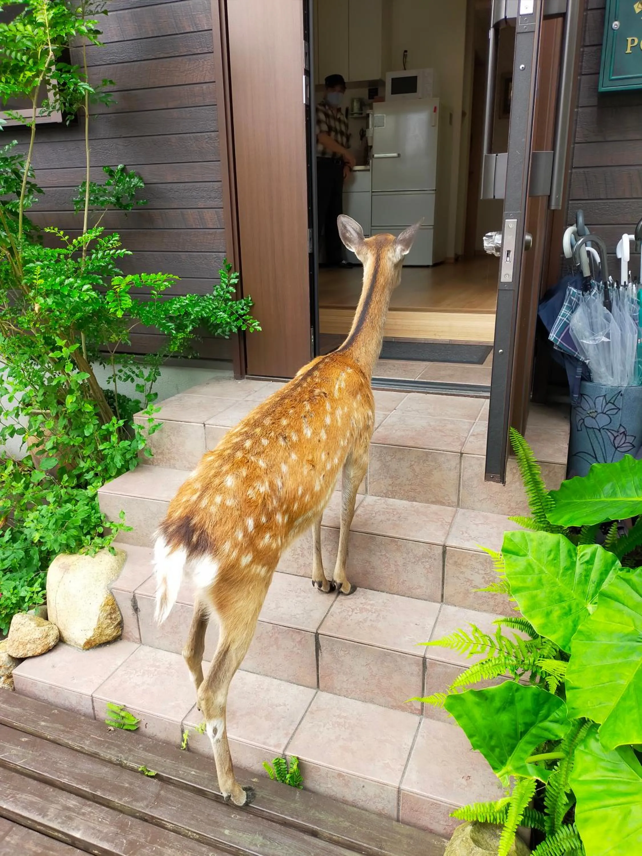 Mini inn Nara - Naramachi historic district - 外国人予約限定