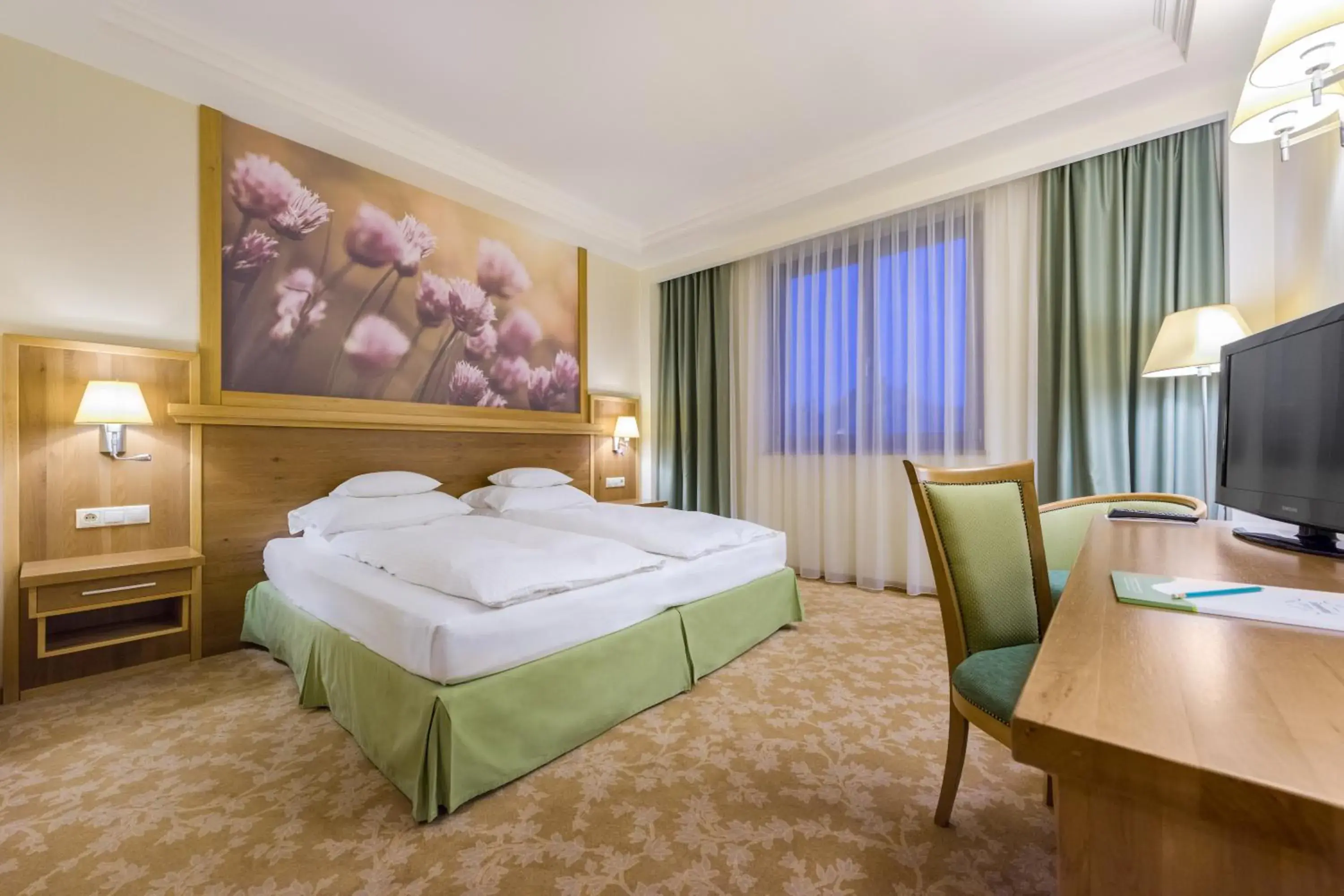 Double Room - single occupancy in Hotel Sonnenhof Double Room - single occupancy in Hotel Sonnenhof