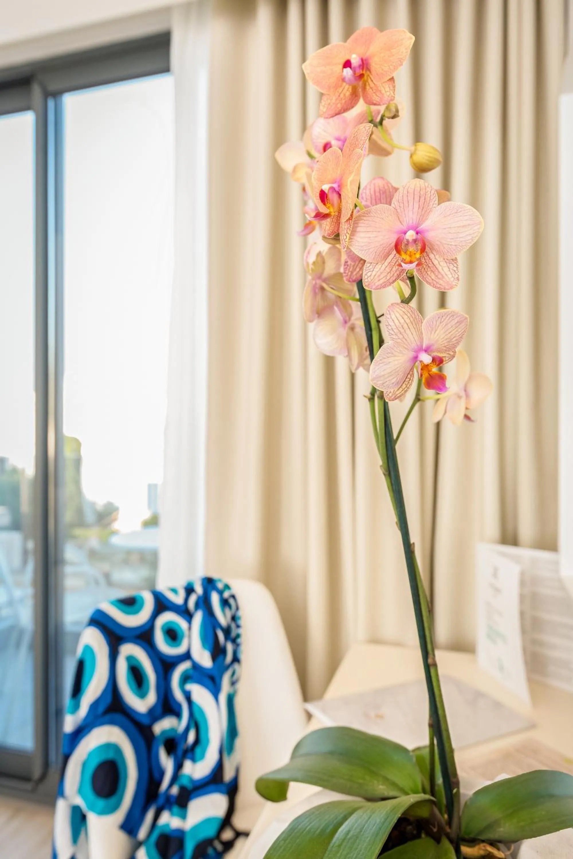 Other in Samian Mare Hotel, Suites & Spa