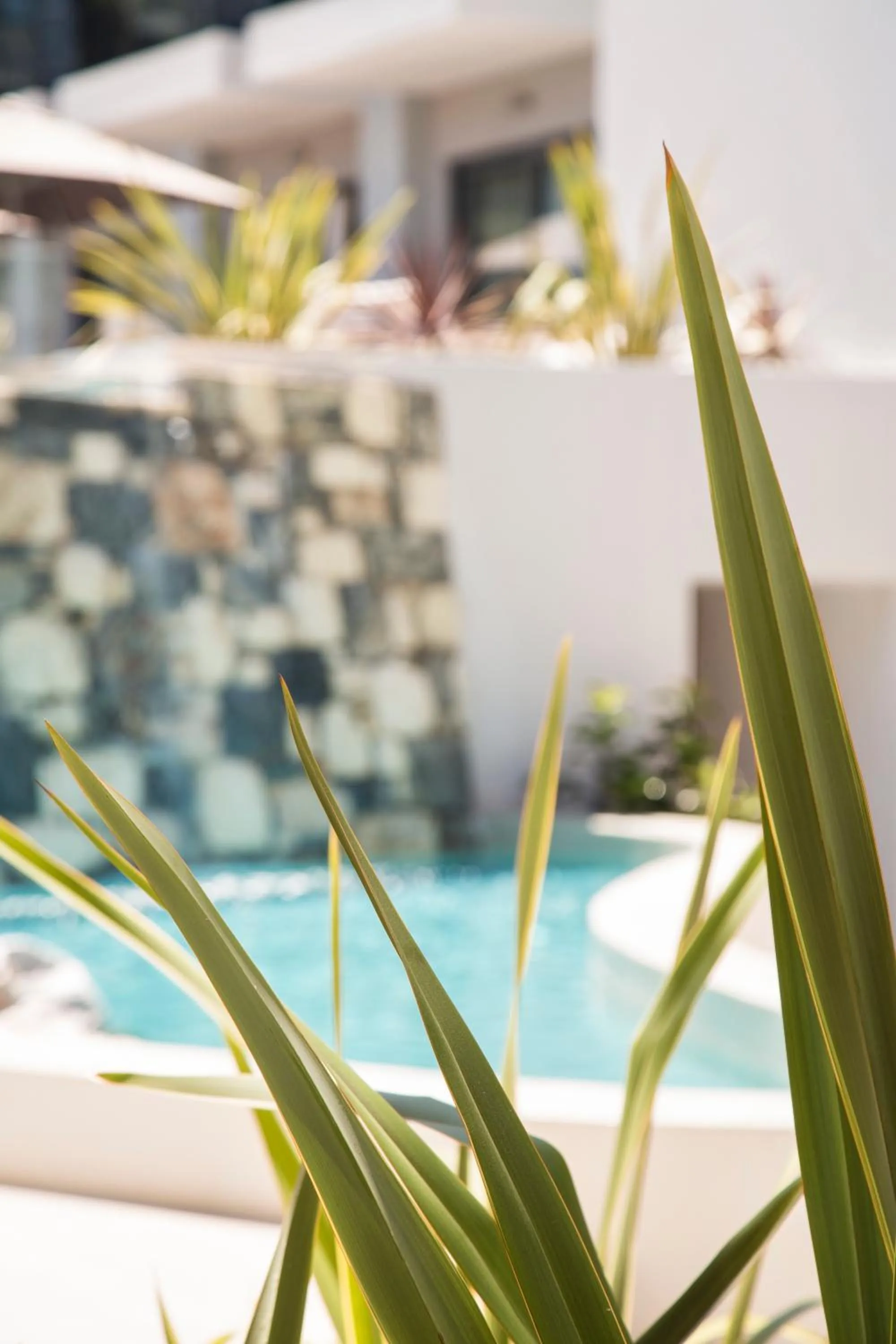 Balcony/Terrace in Samian Mare Hotel, Suites & Spa