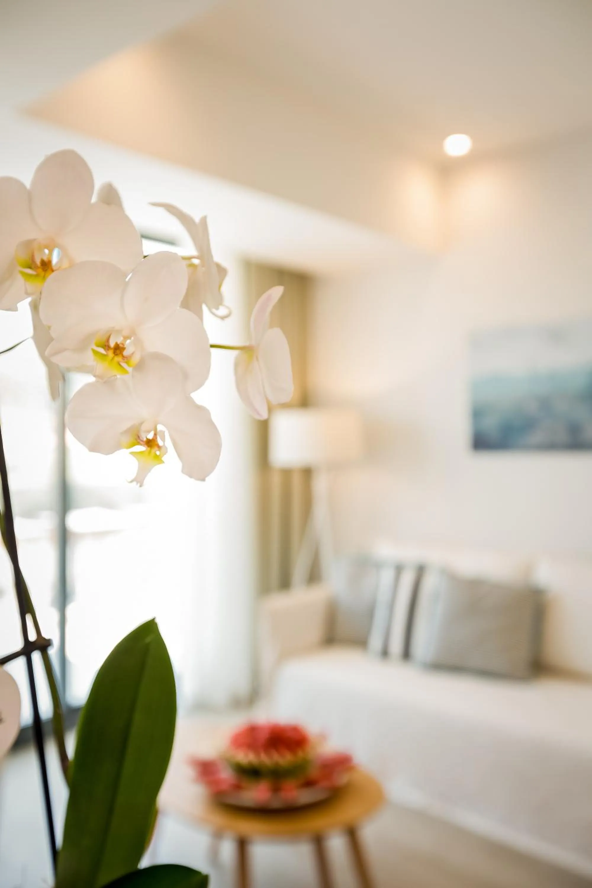 Living room, Bed in Samian Mare Hotel, Suites & Spa