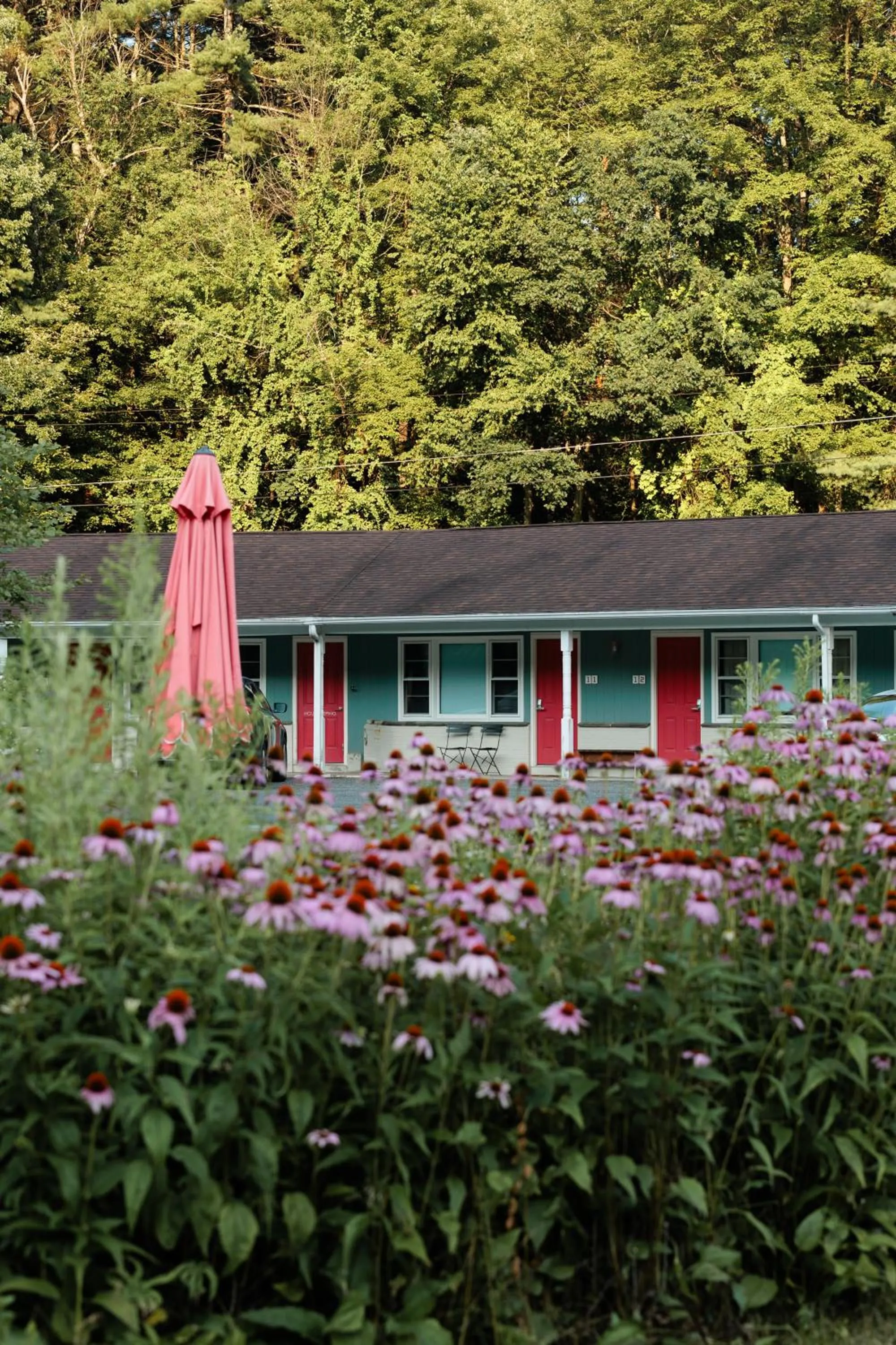 Property building in The Little Lion