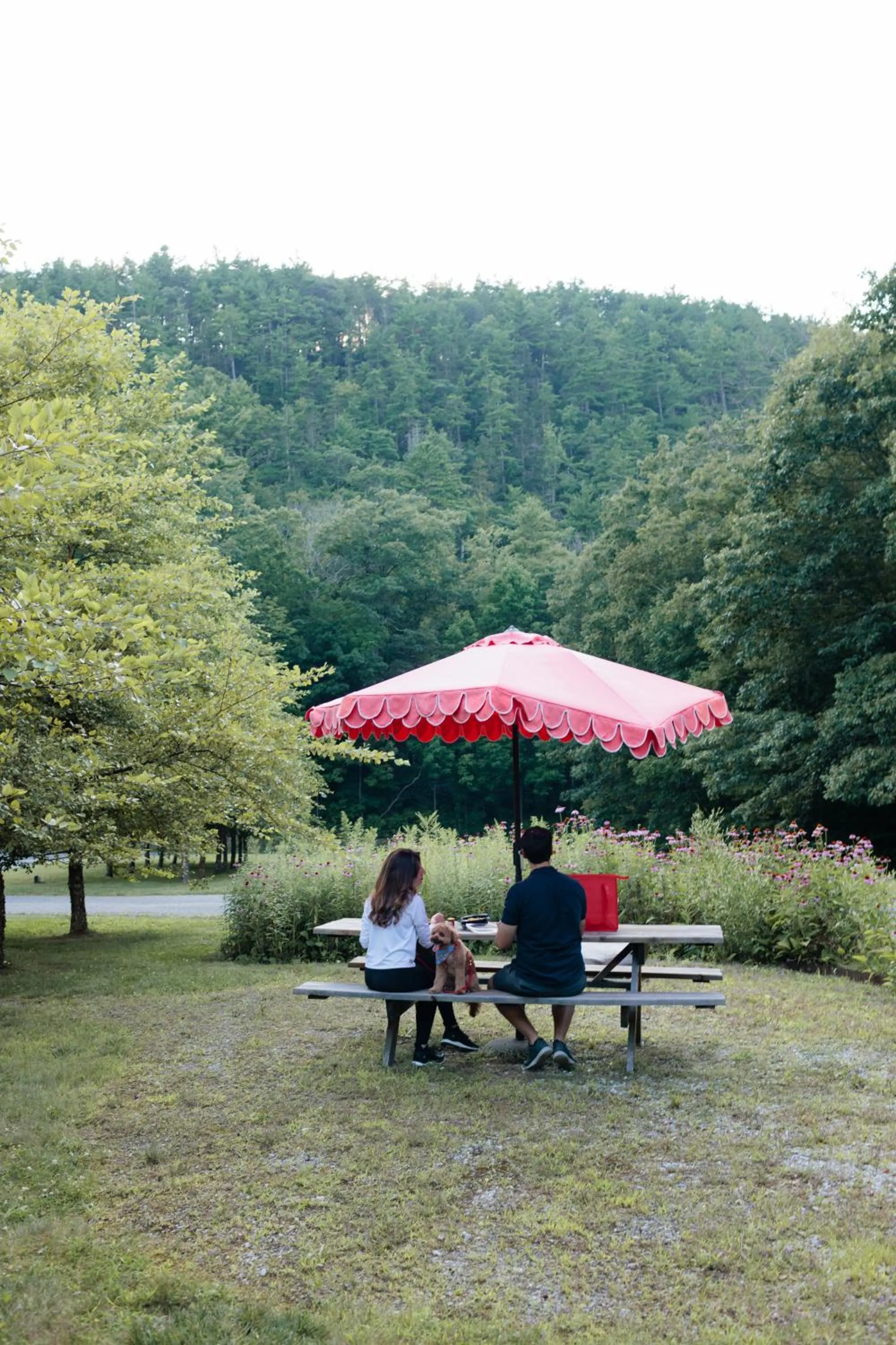 Seating area in The Little Lion