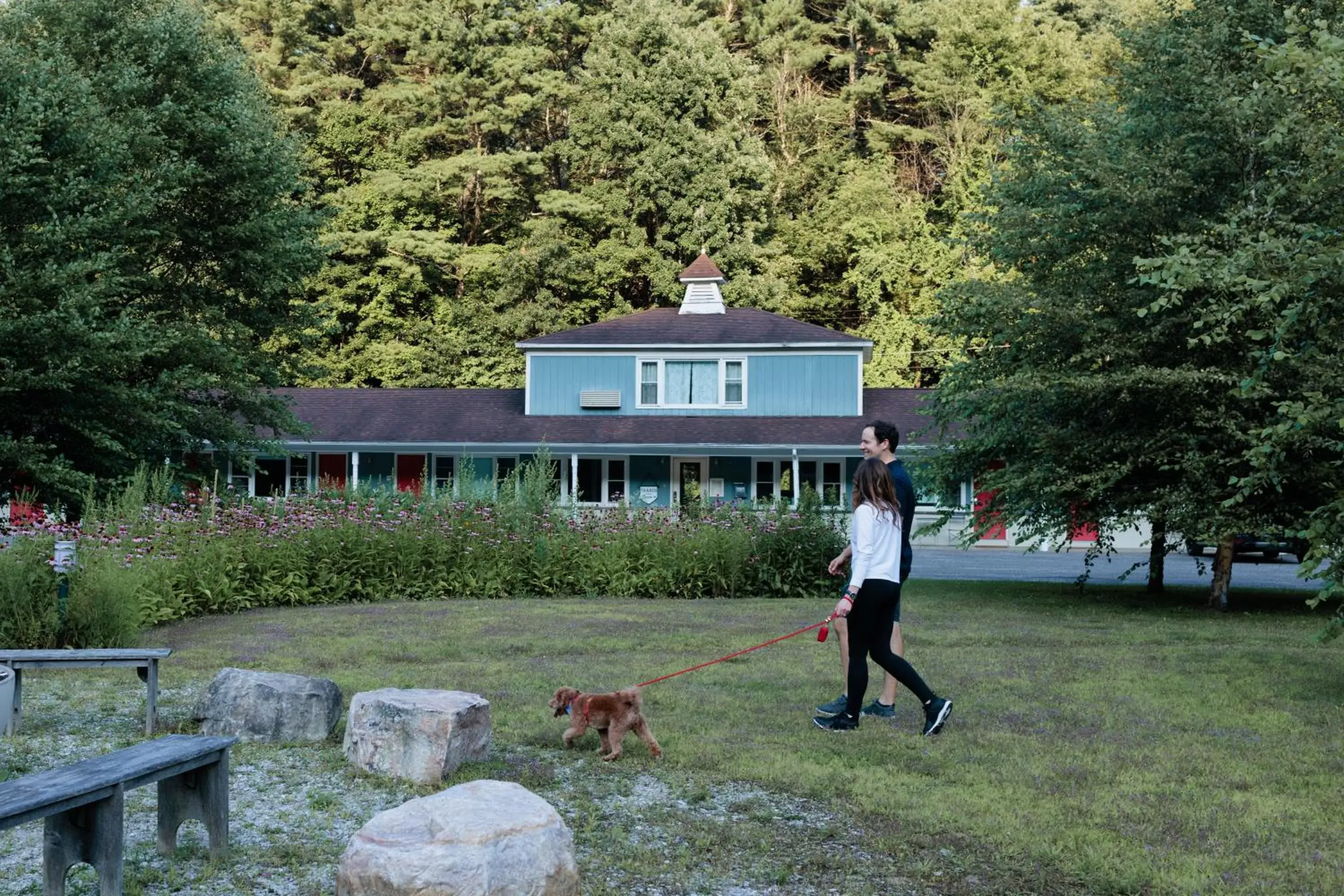 Property building in The Little Lion Property building in The Little Lion