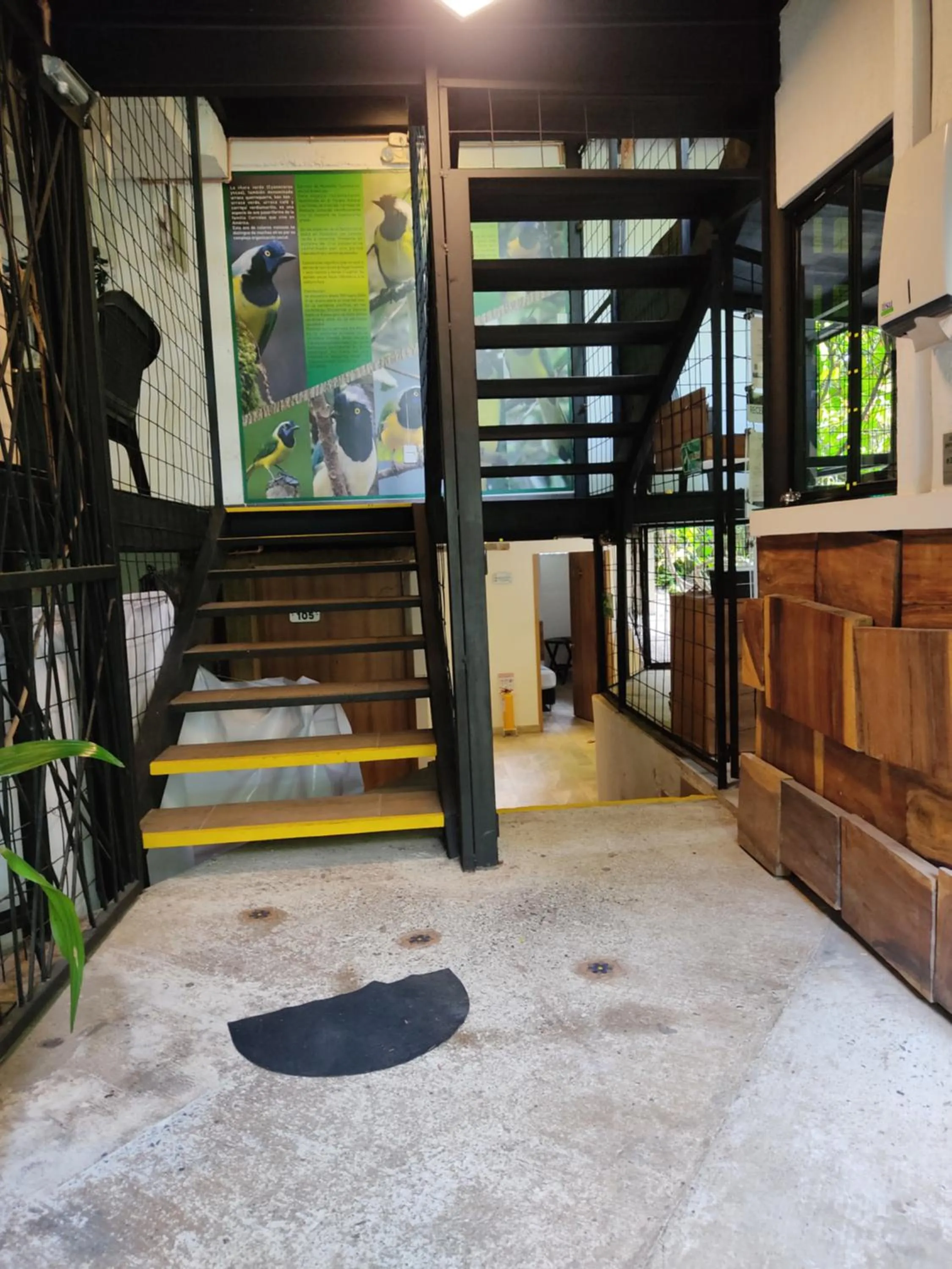 Property building in Alojamiento Carriquí