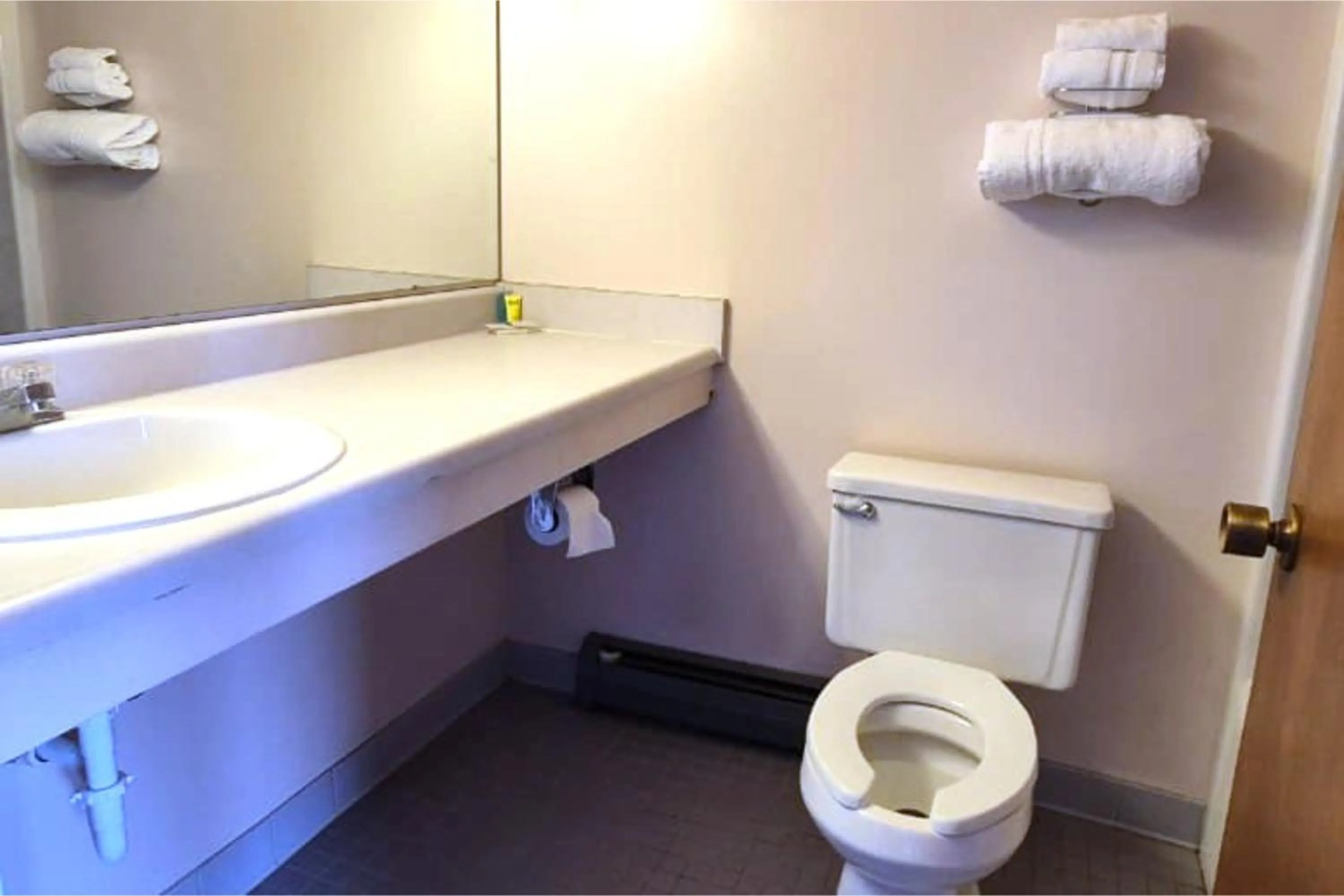 Bathroom in Capital O Swan Inn Comstock Park