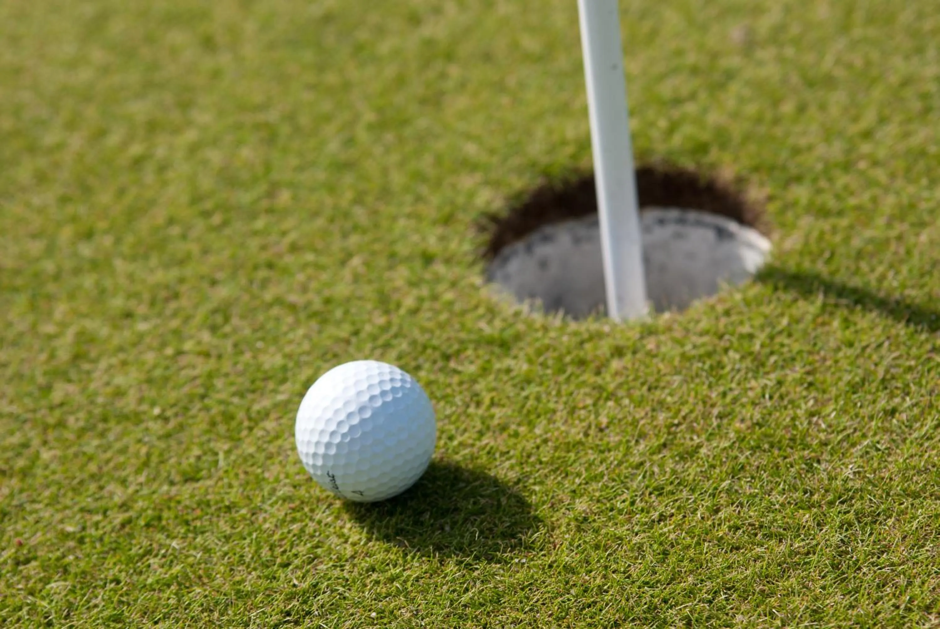 Activities in Erfblick-Apartments