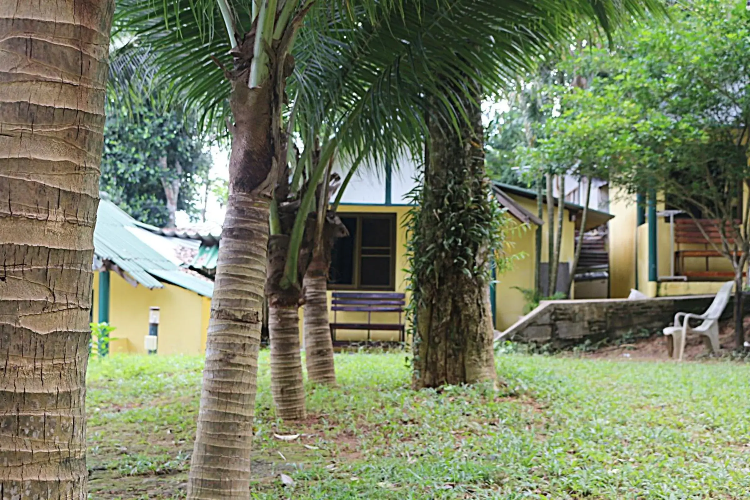 Budget Double Room in Island Lodge Budget Double Room in Island Lodge