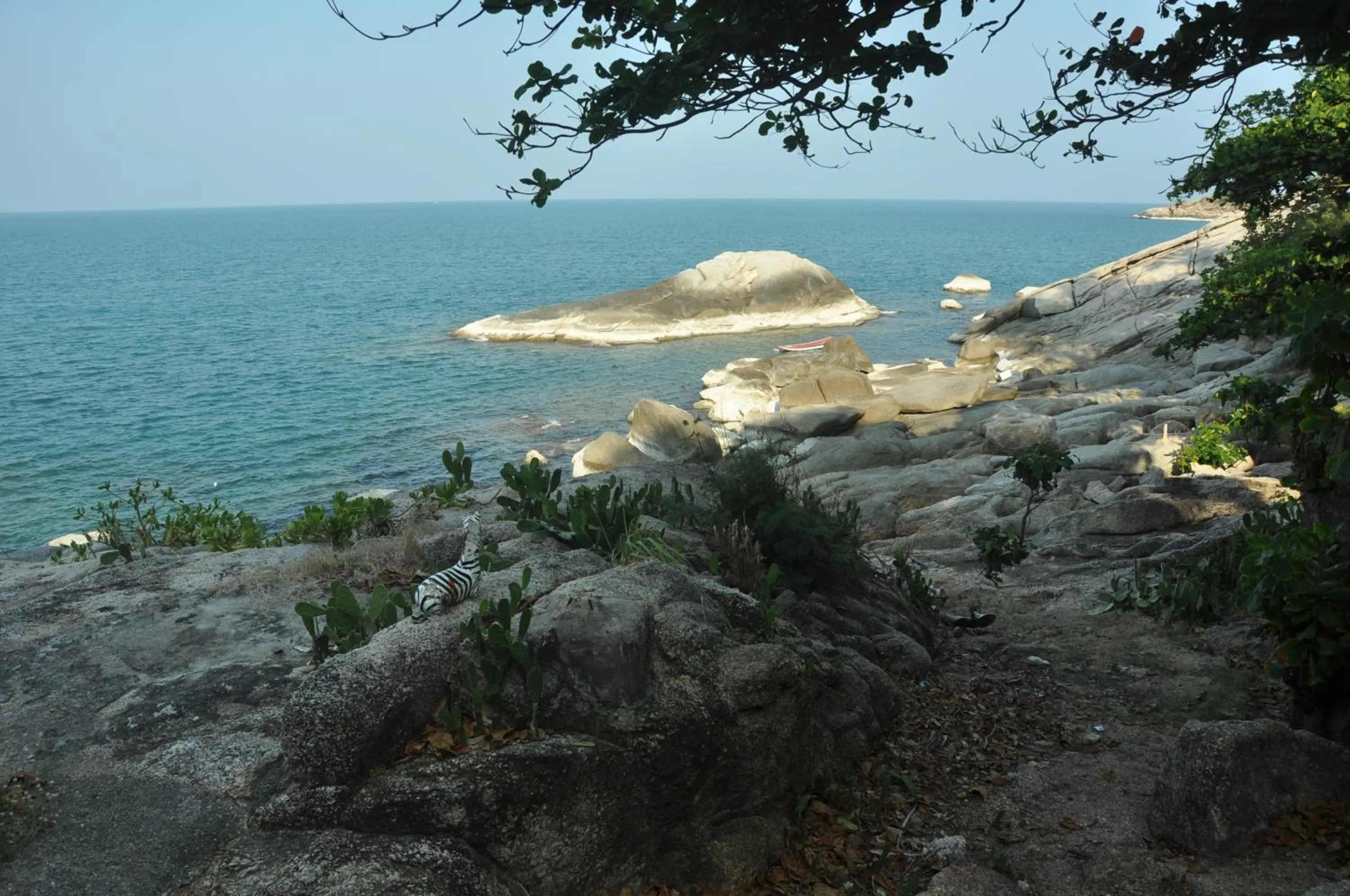 Day in The Ocean Phangan Homestay
