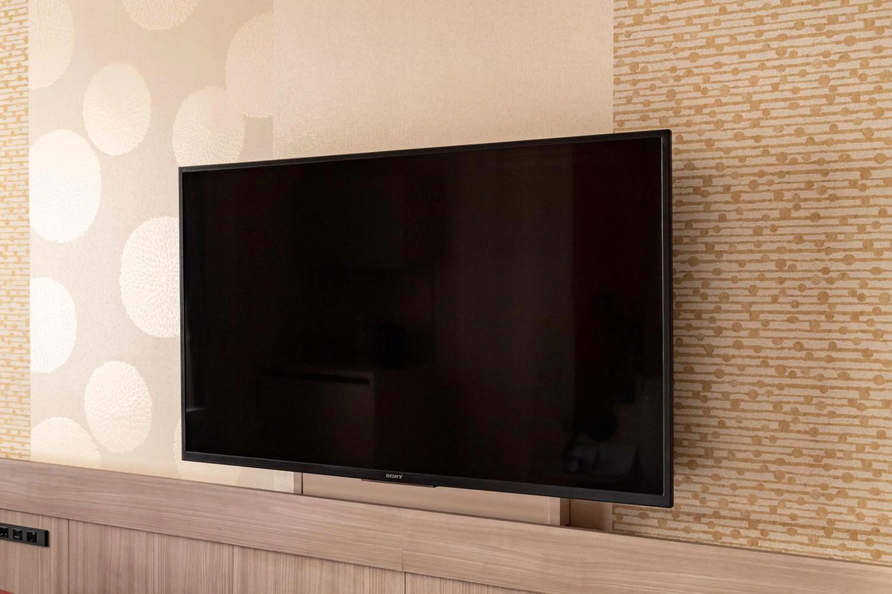 TV and multimedia in Kyoto Tokyu Hotel