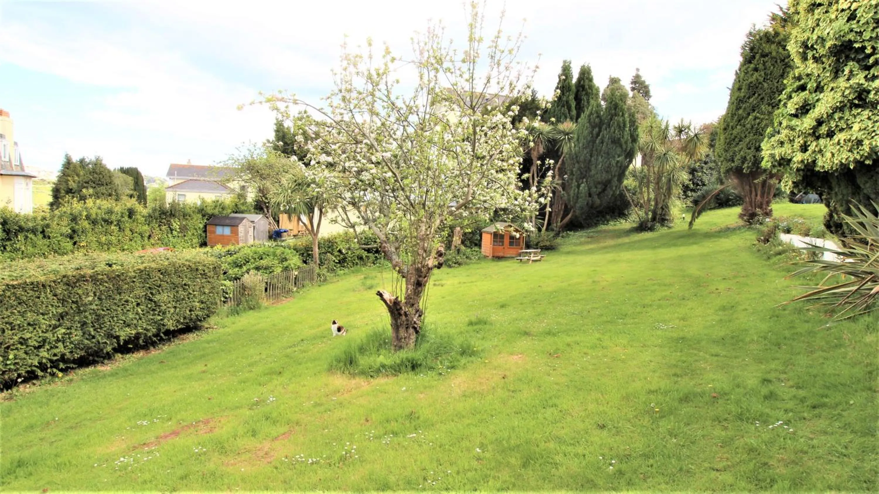 Property building in Chelston Dene Holiday Apartments