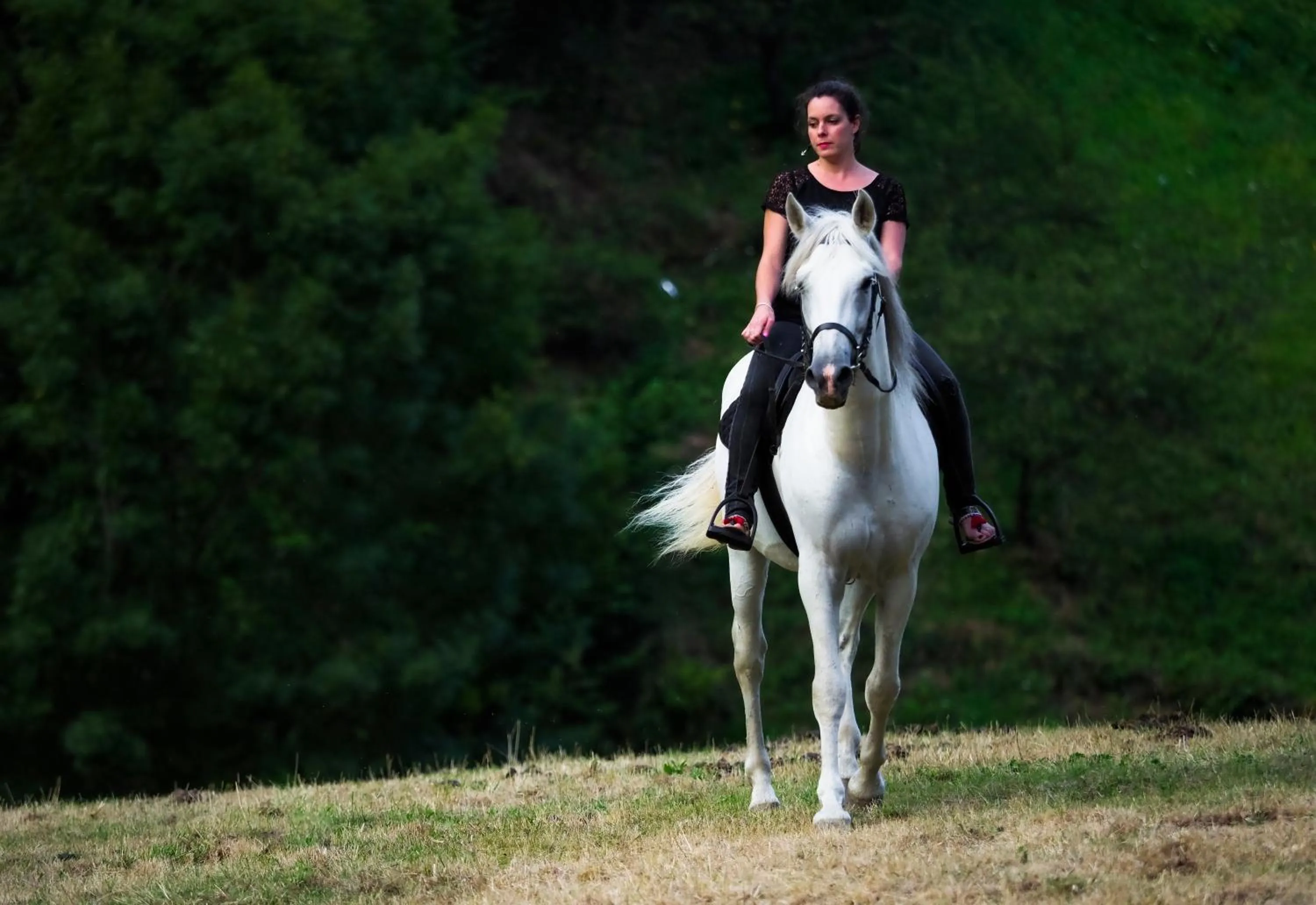Natural landscape in Hotel Rural Las Montañas de Pumar