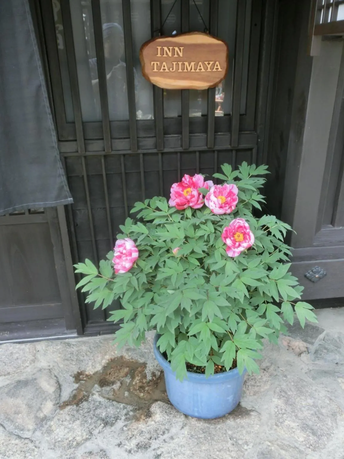 Facade/entrance in Tajimaya