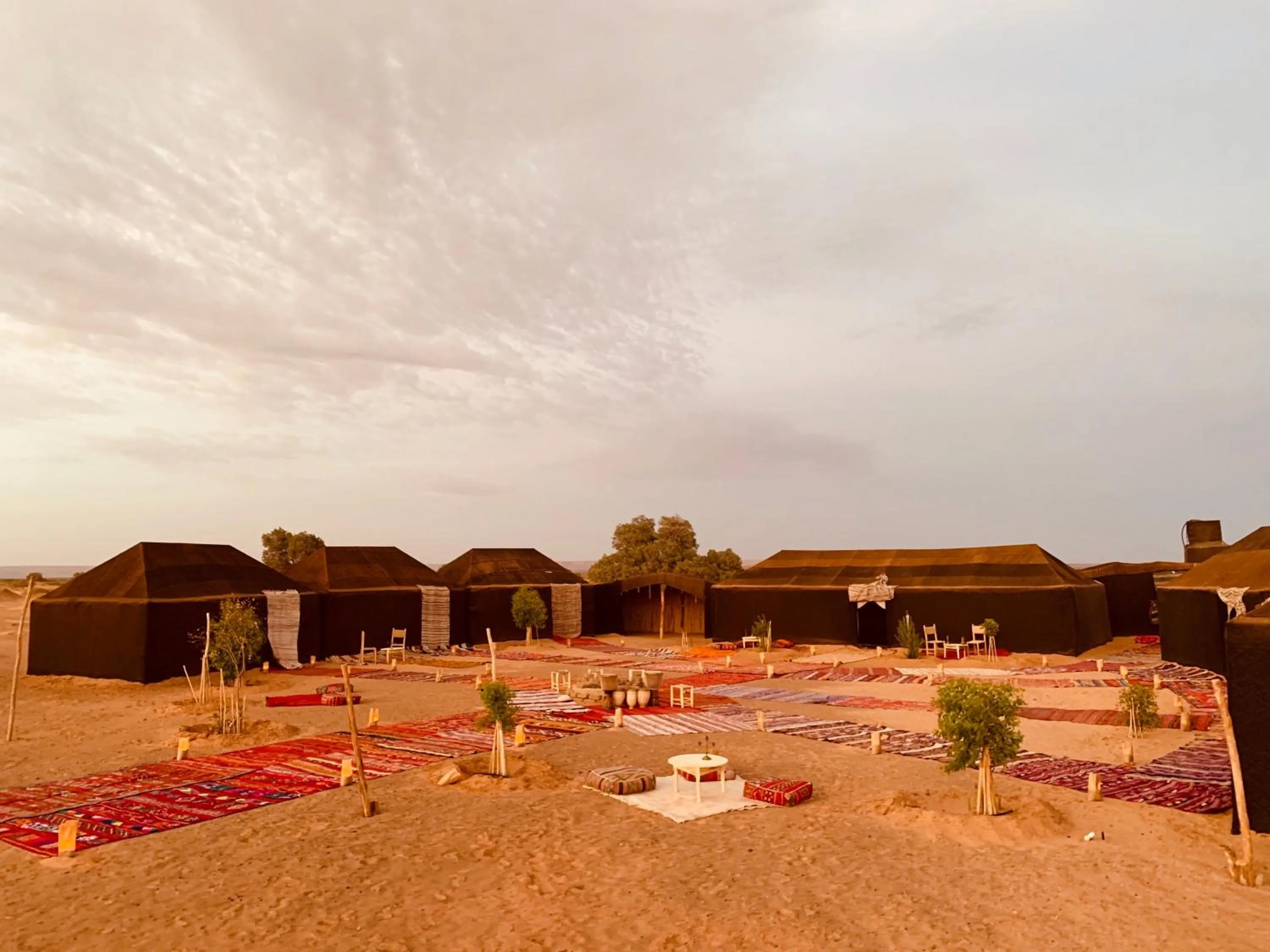 View (from property/room) in Sahara wellness camp