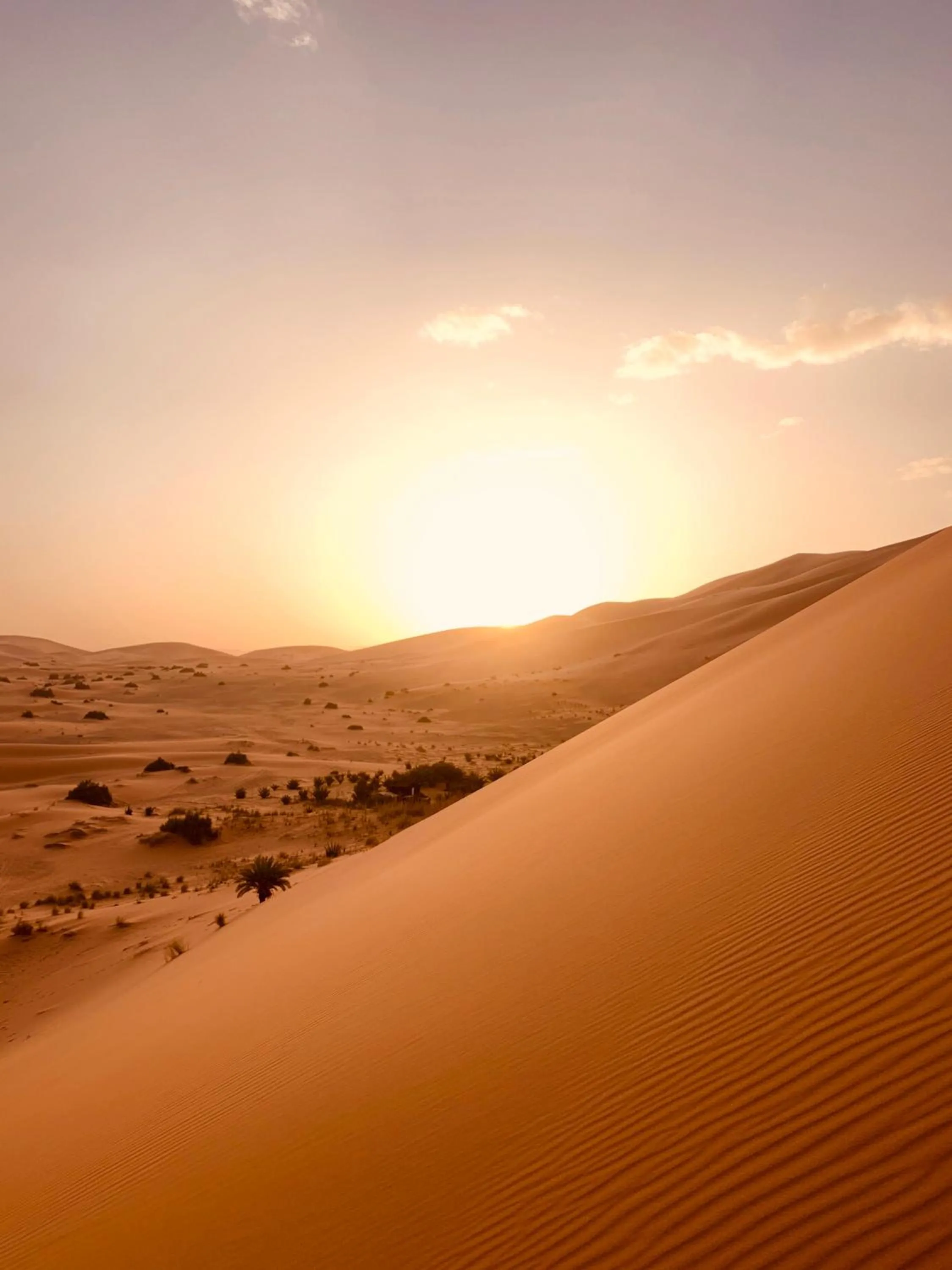 Sunset in Sahara wellness camp