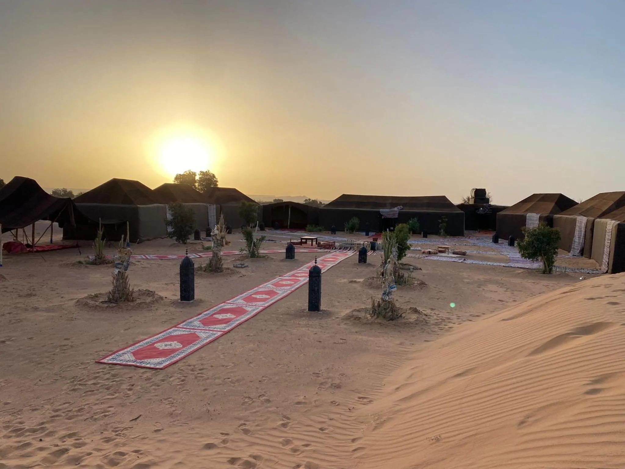Sunrise in Sahara wellness camp