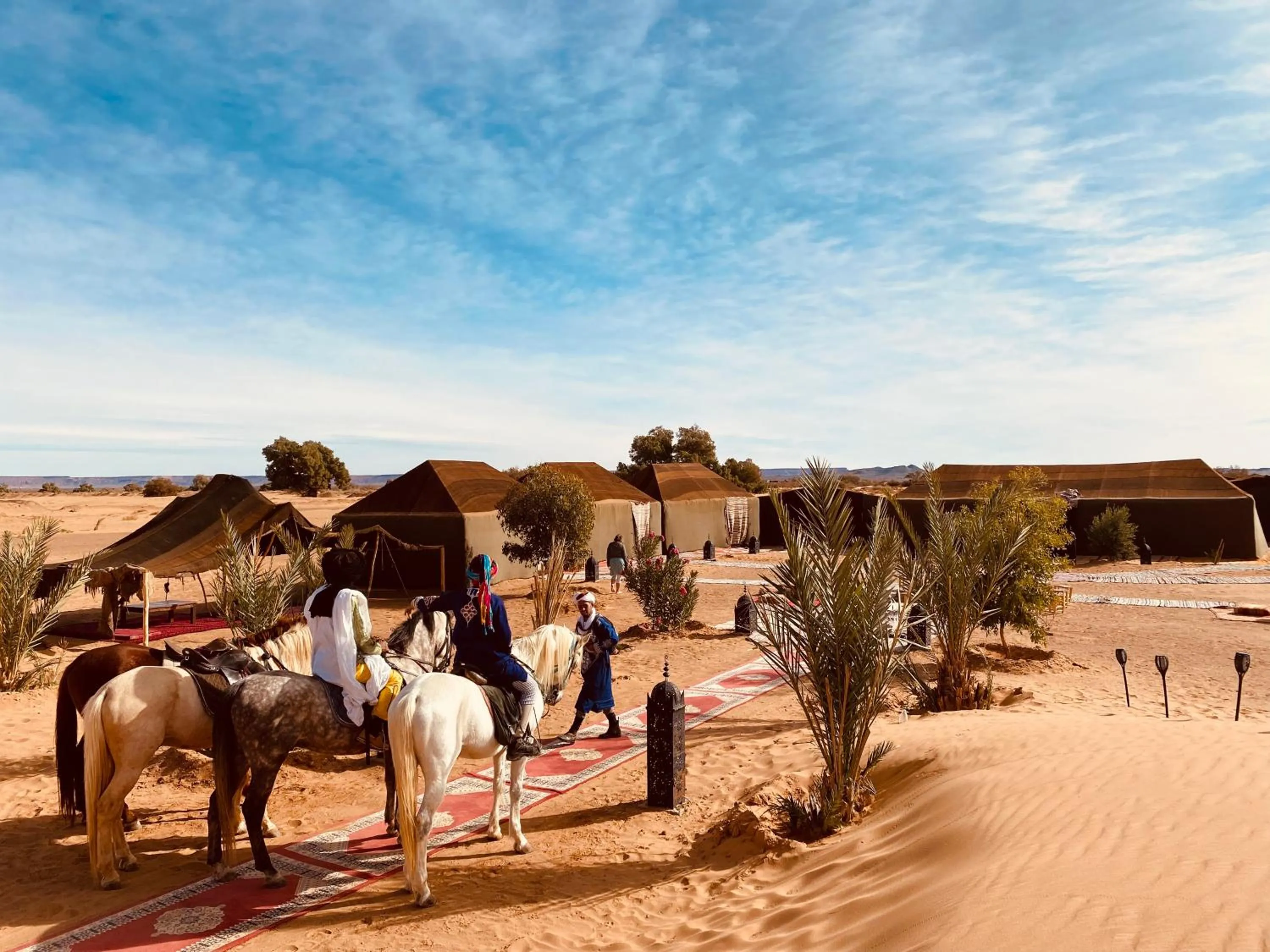Horse-riding in Sahara wellness camp