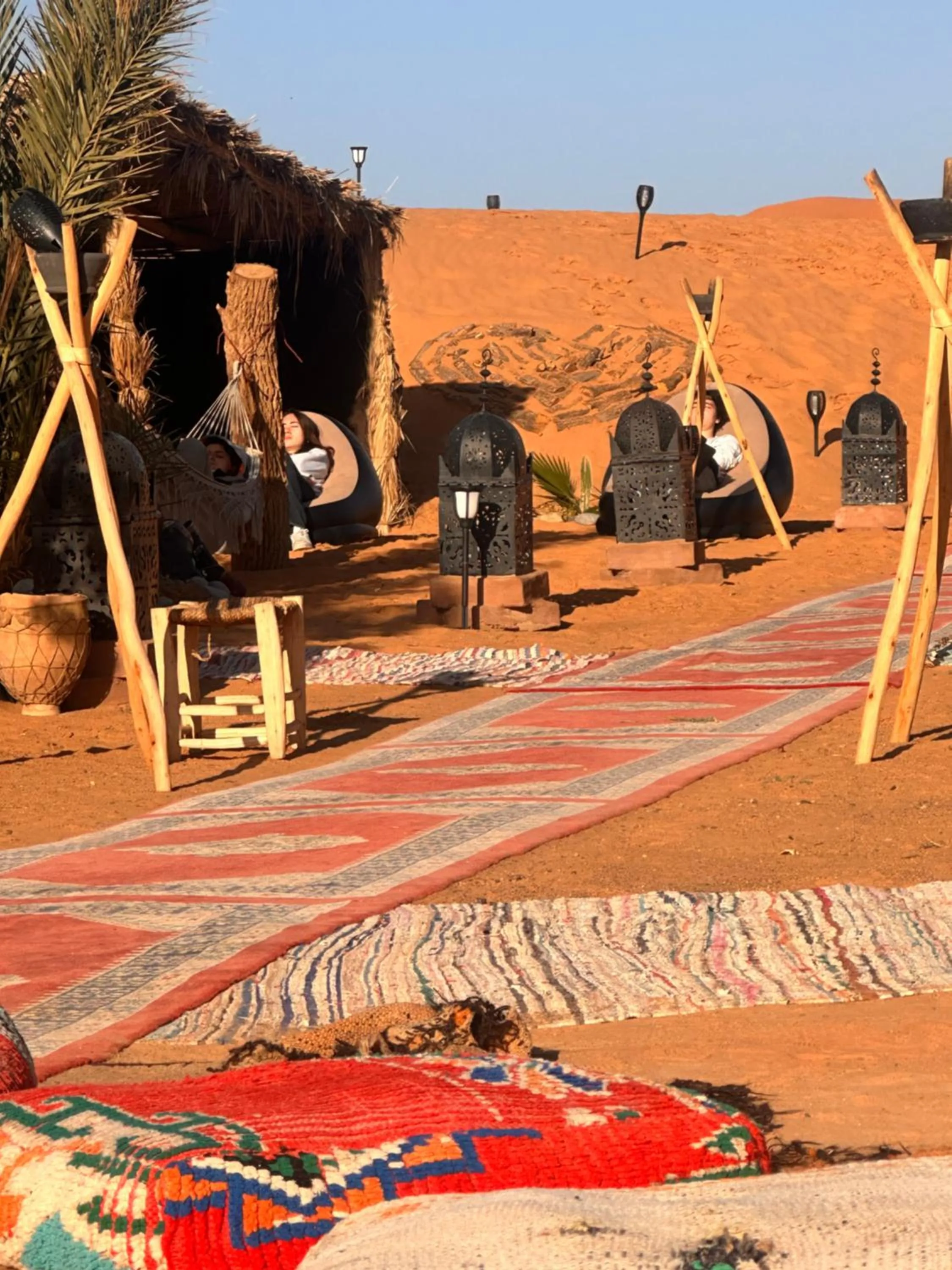 Property building in Sahara wellness camp