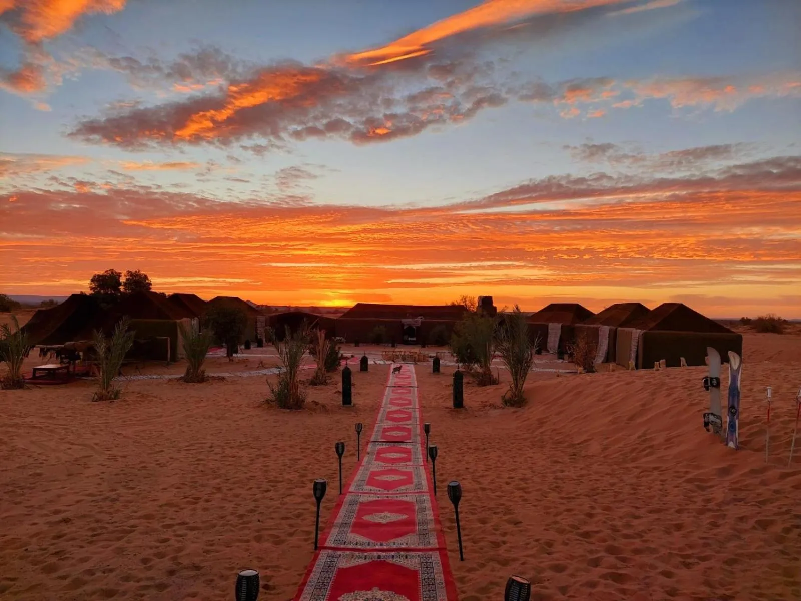 Natural landscape in Sahara wellness camp