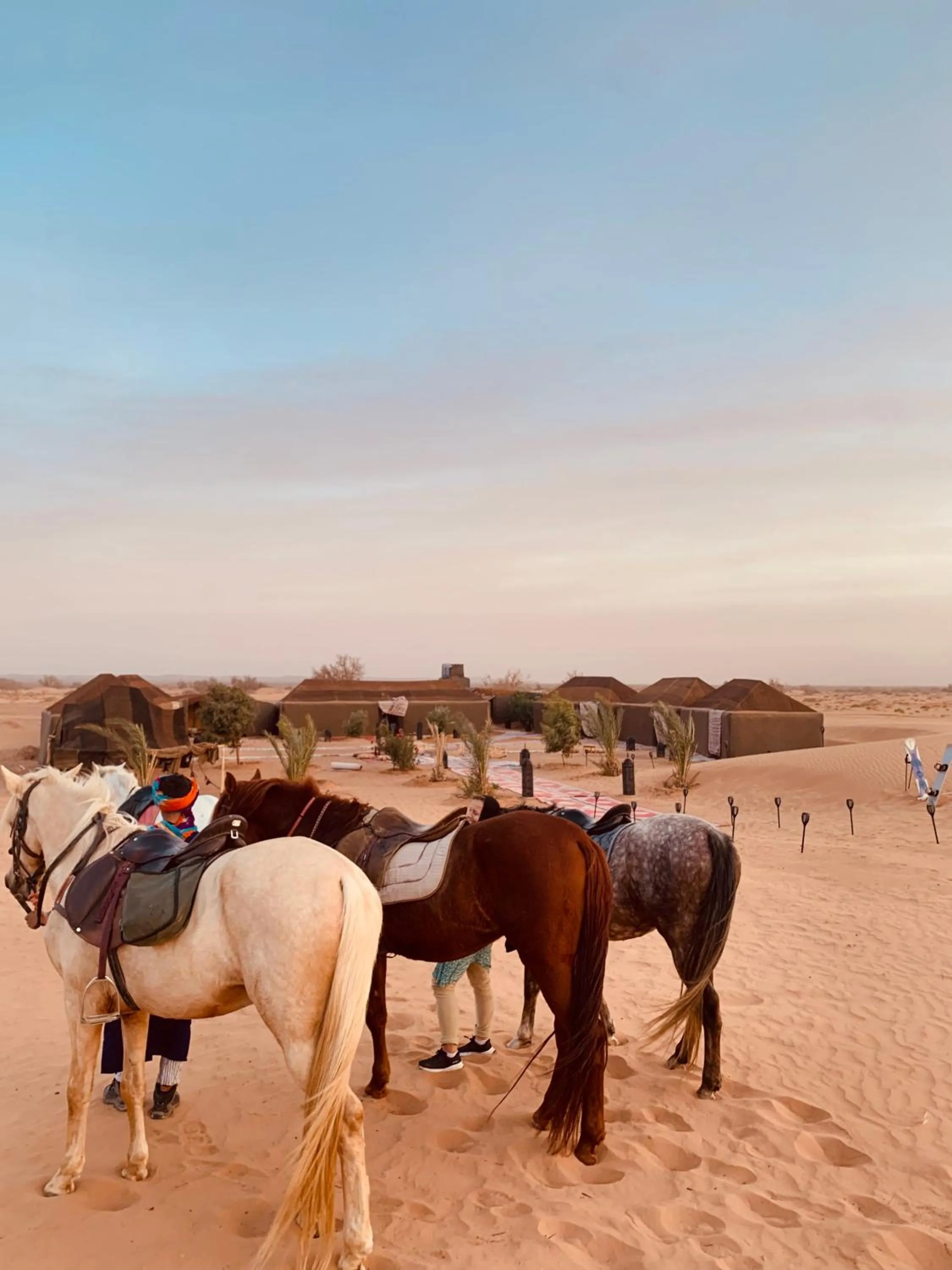 Day in Sahara wellness camp