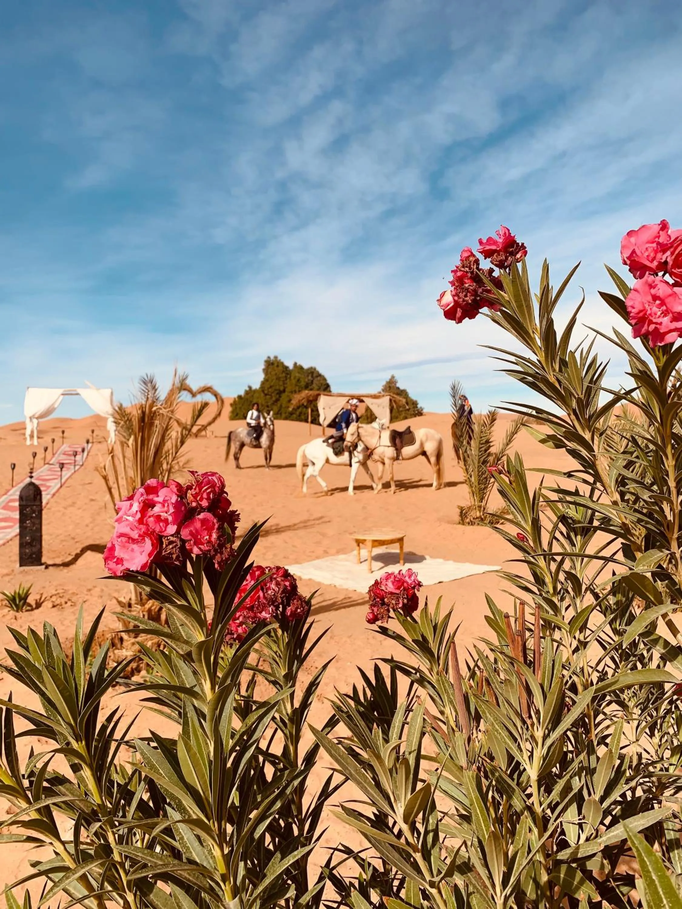 Day in Sahara wellness camp