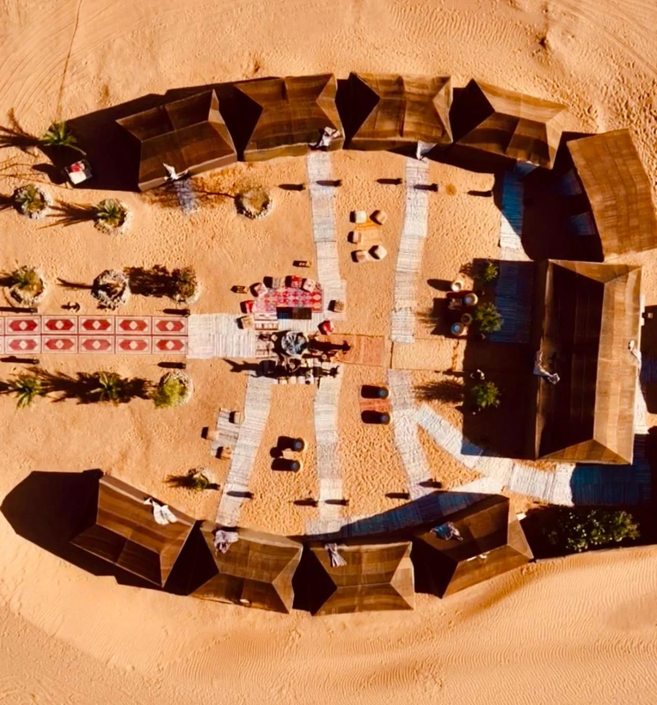 Bird's eye view in Sahara wellness camp