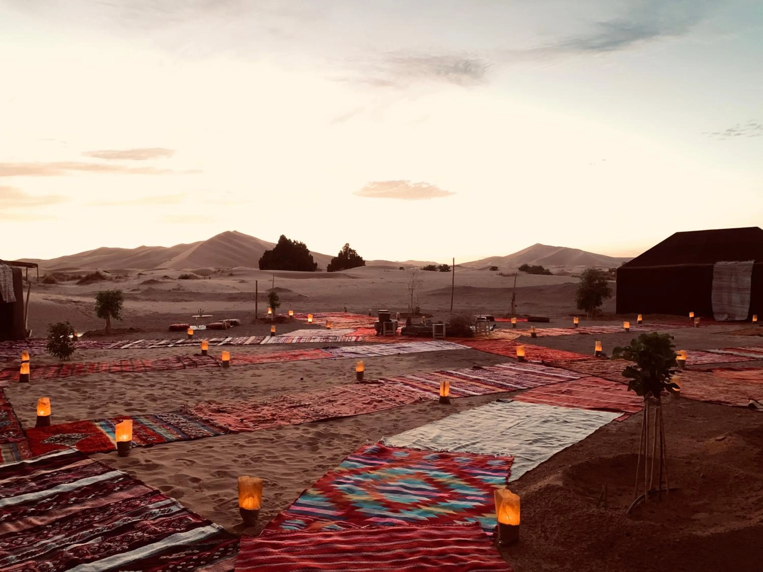 View (from property/room) in Sahara wellness camp