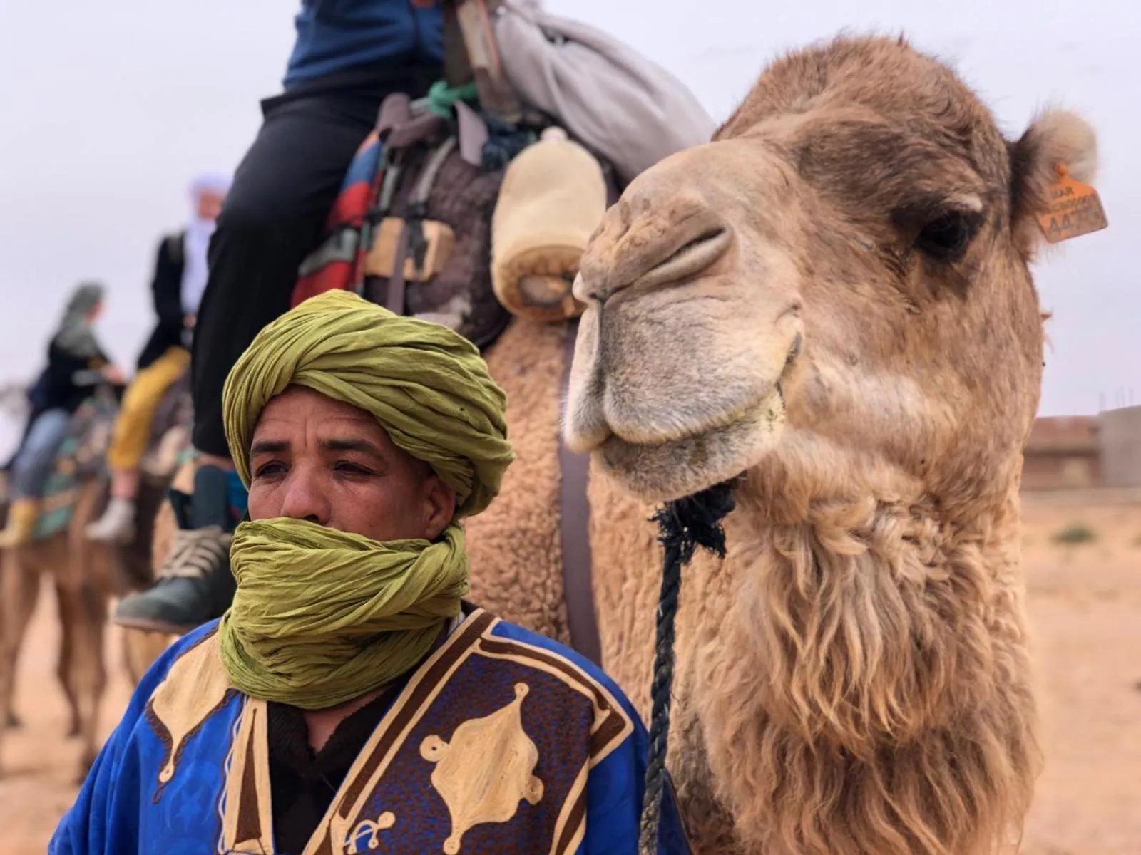 People in Sahara wellness camp