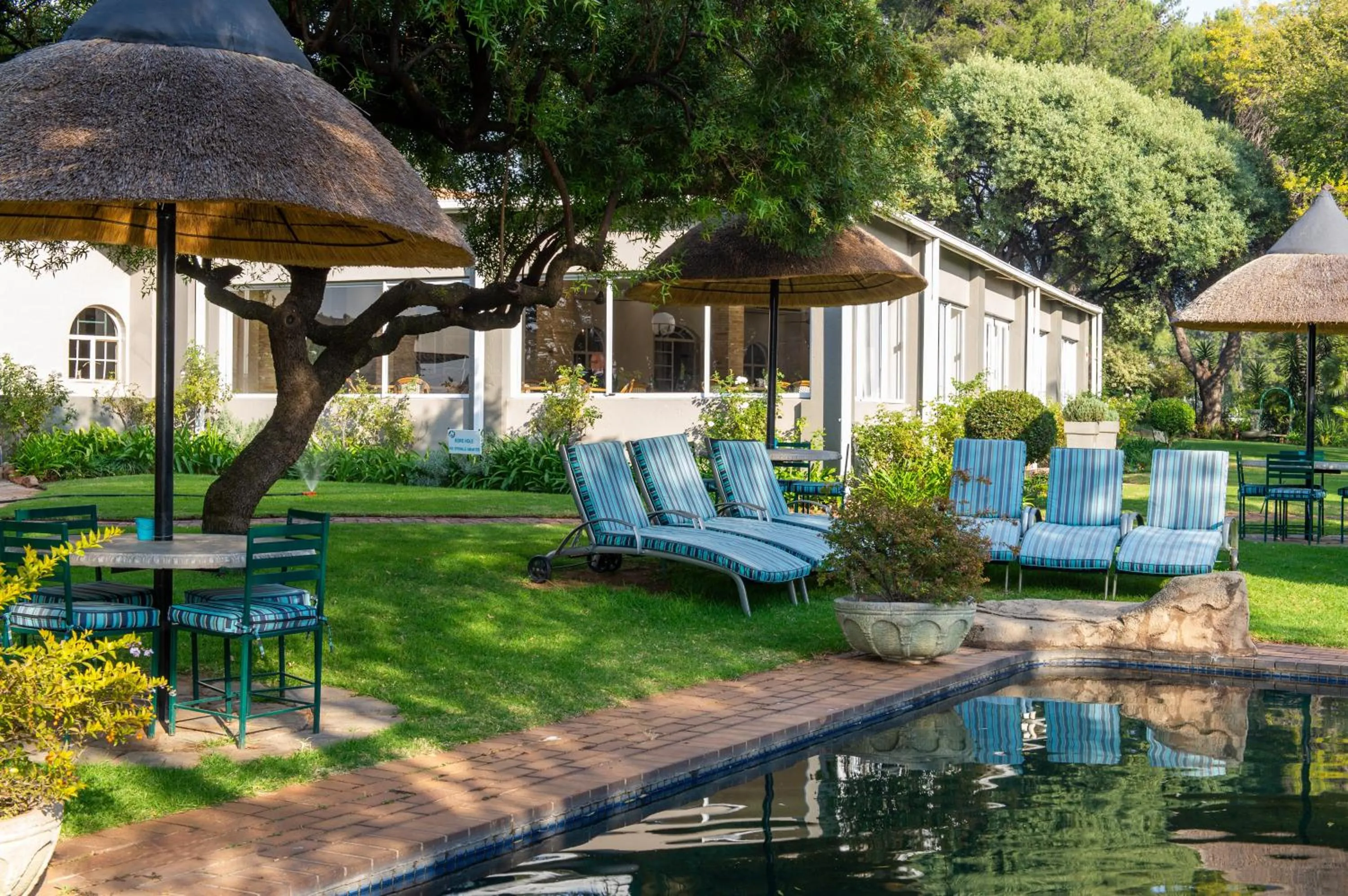 Garden in CedarWoods of Sandton