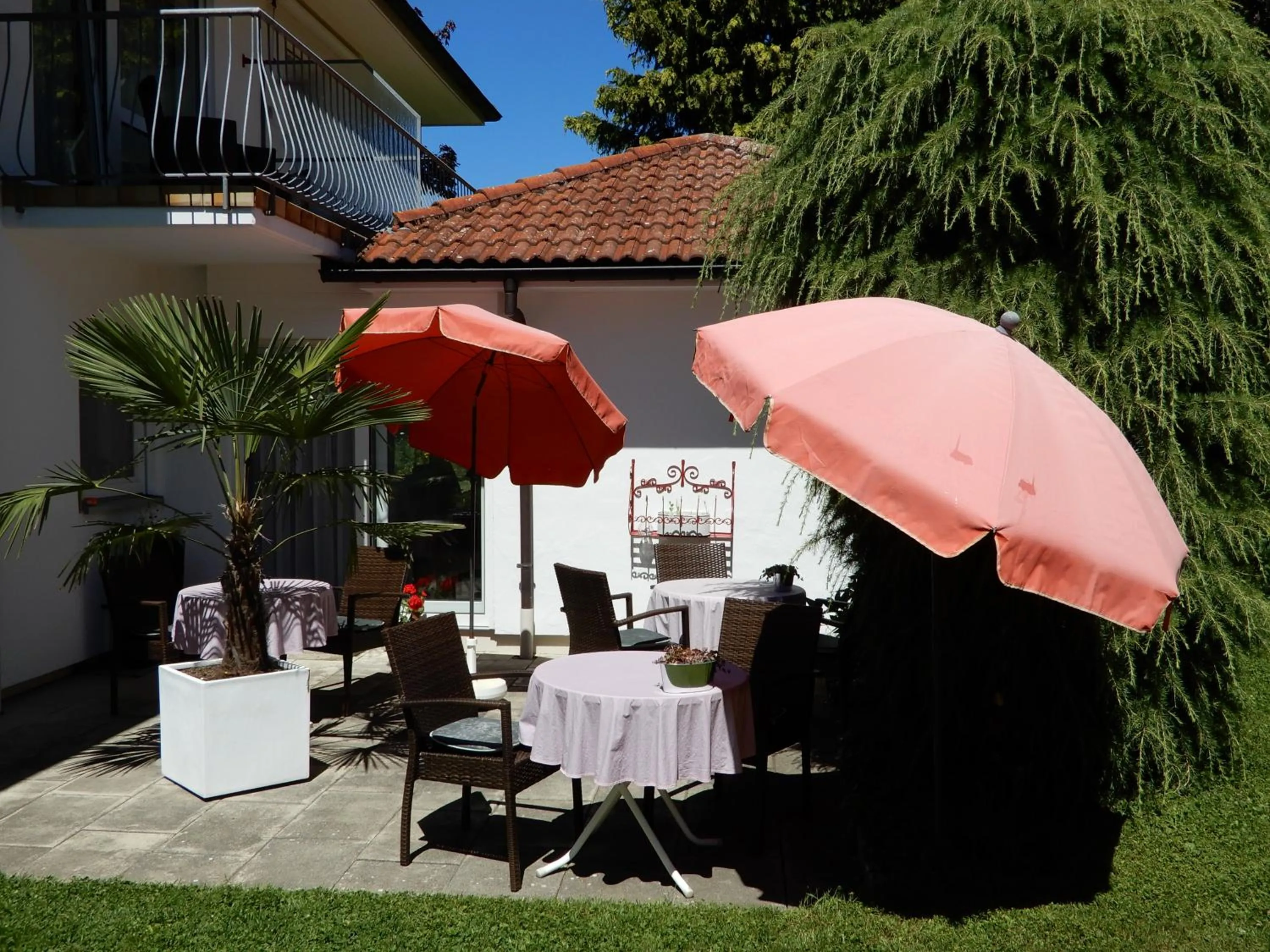 Garden in Hotel Kurallee