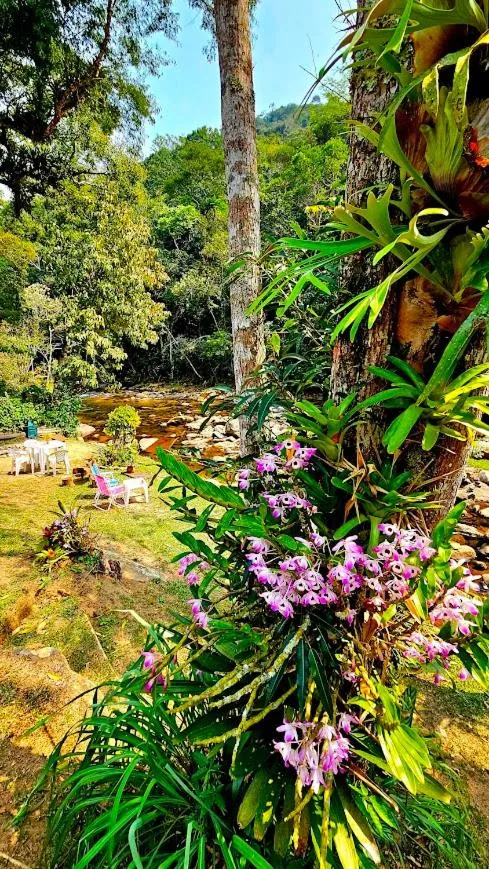 Natural landscape in Brilho do Sol - Lumiar